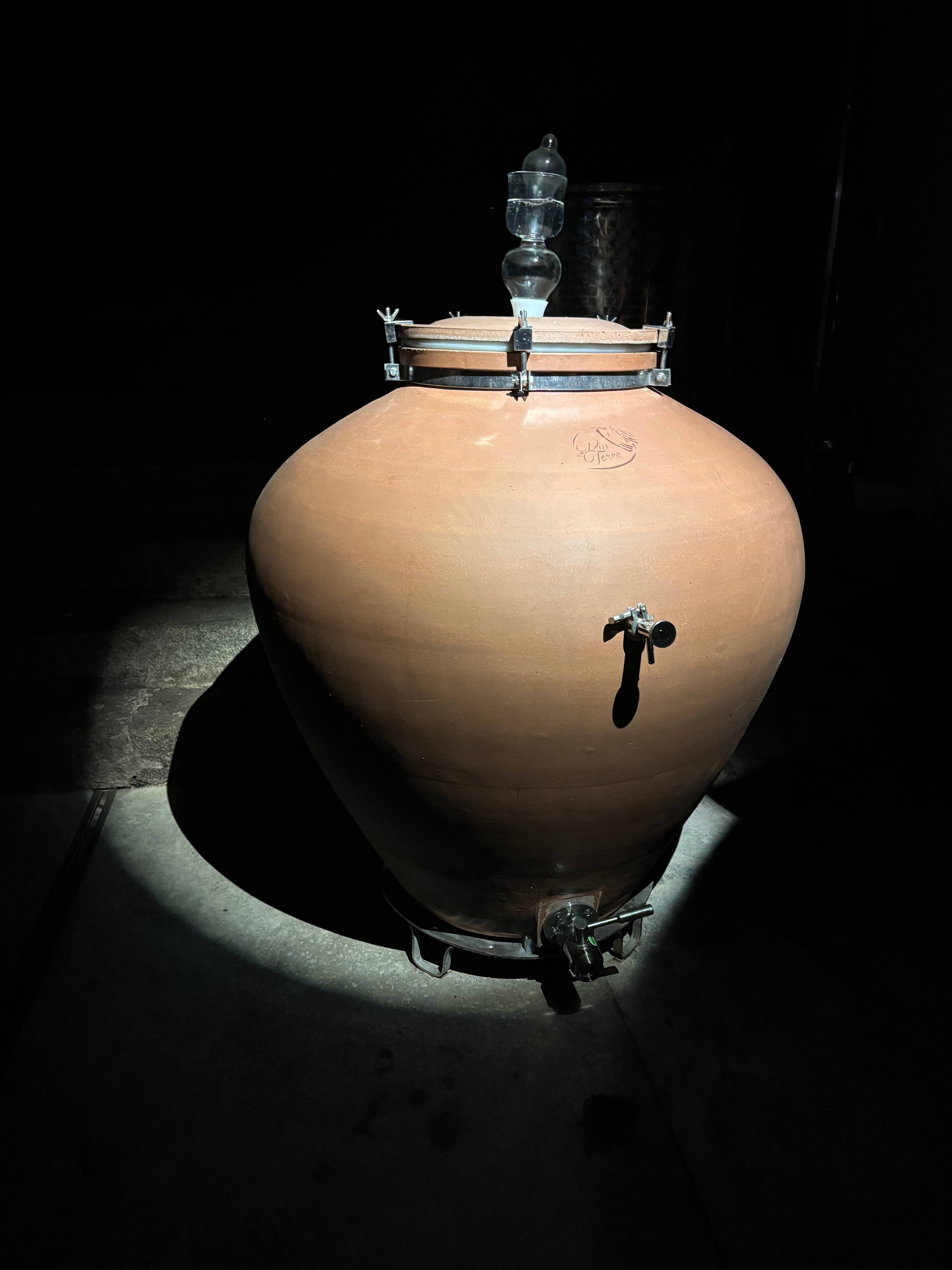 Cellar visit and gourmet wine (Tea Time Vin)