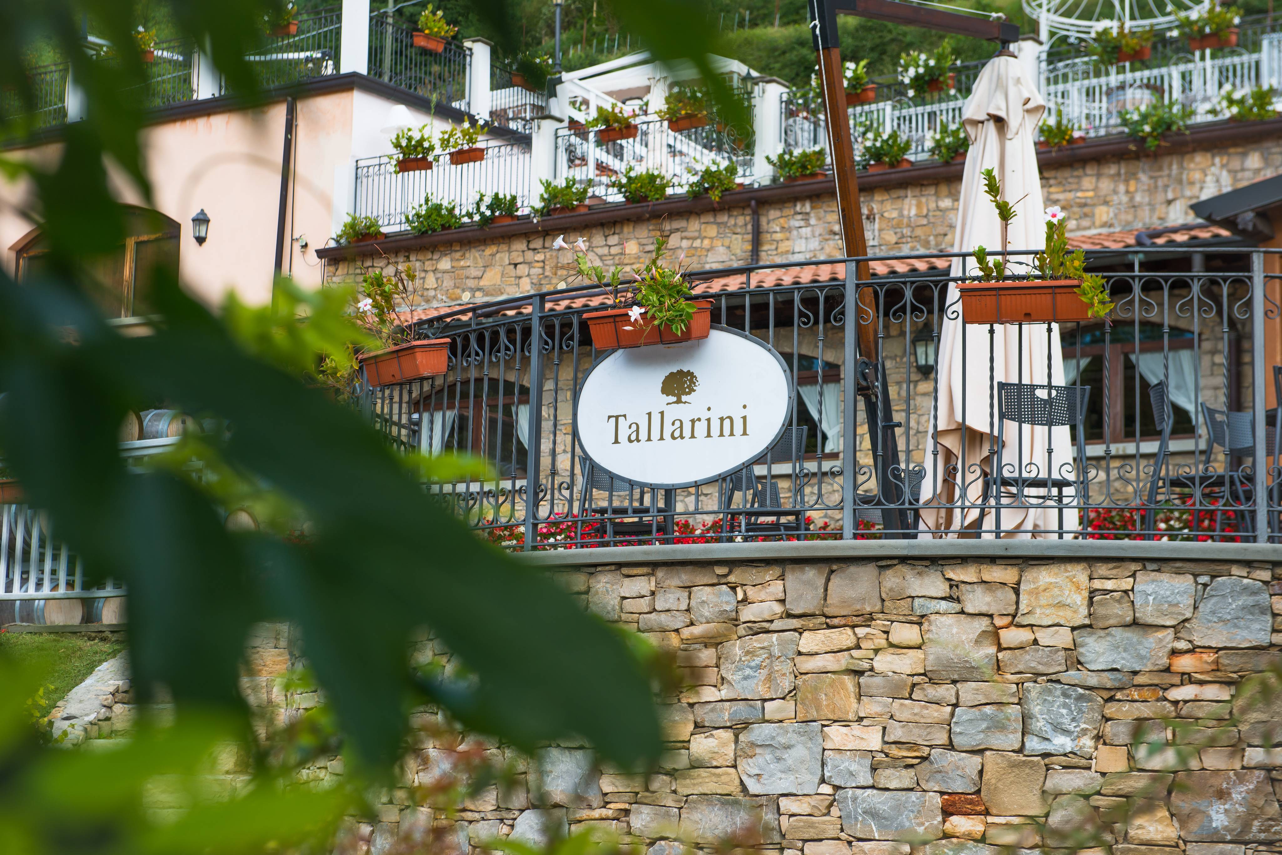 Food Tasting - Tallarini Wine - Winalist