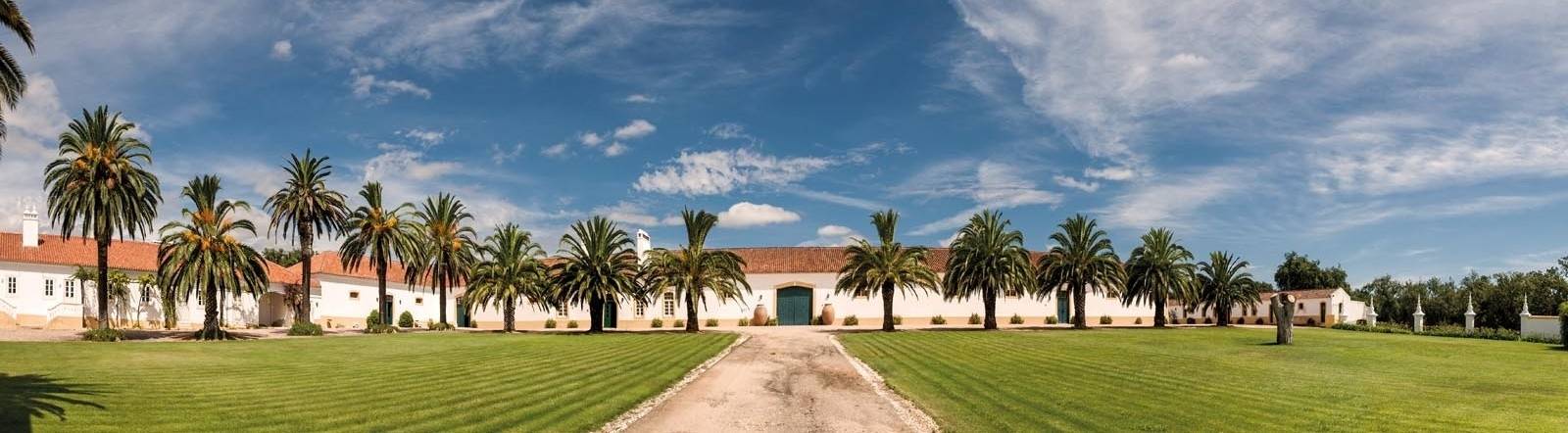 Quinta Do Carmo - Winalist