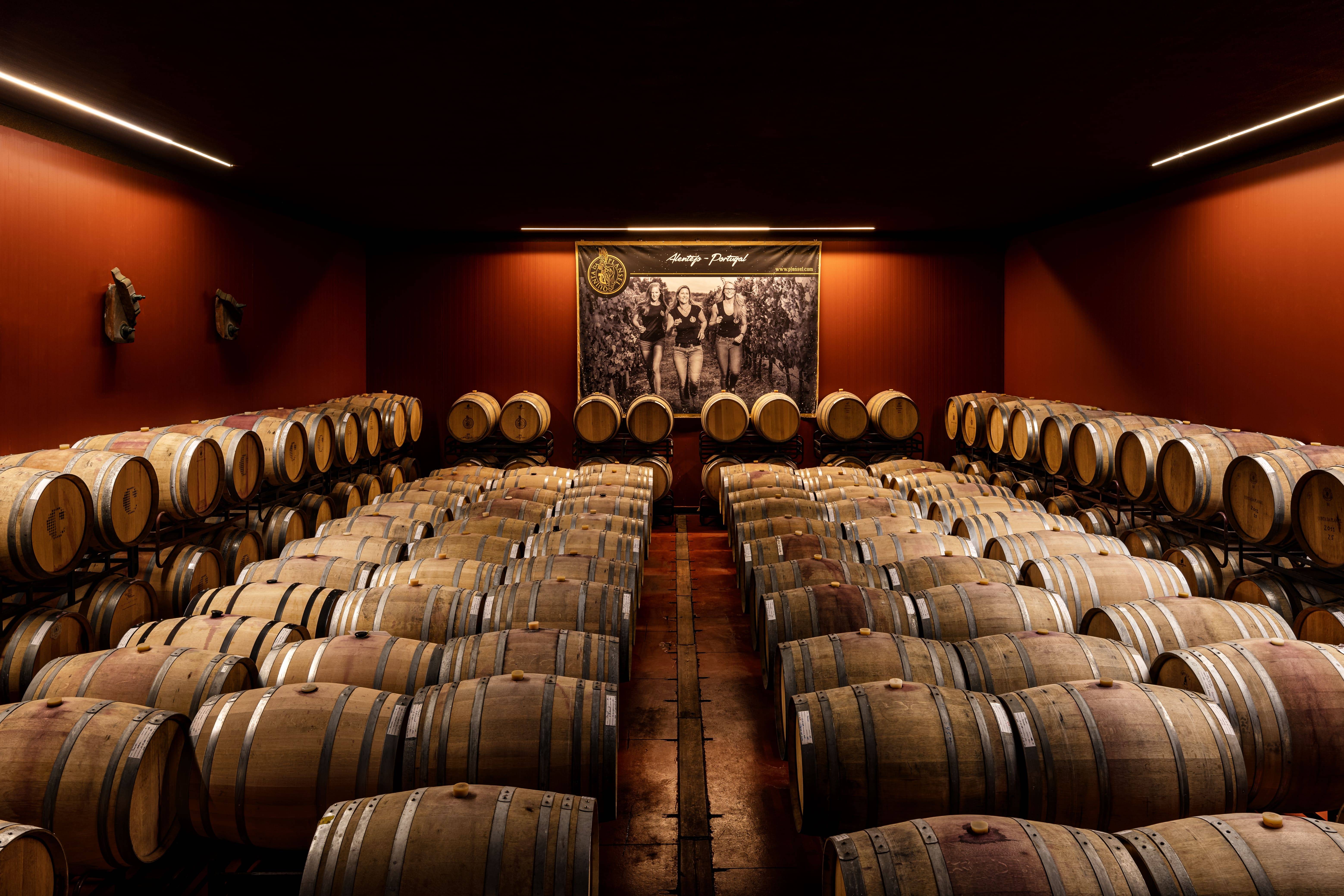 Programma Esclusivo di Vendemmia - Quinta Da Plansel - Winalist