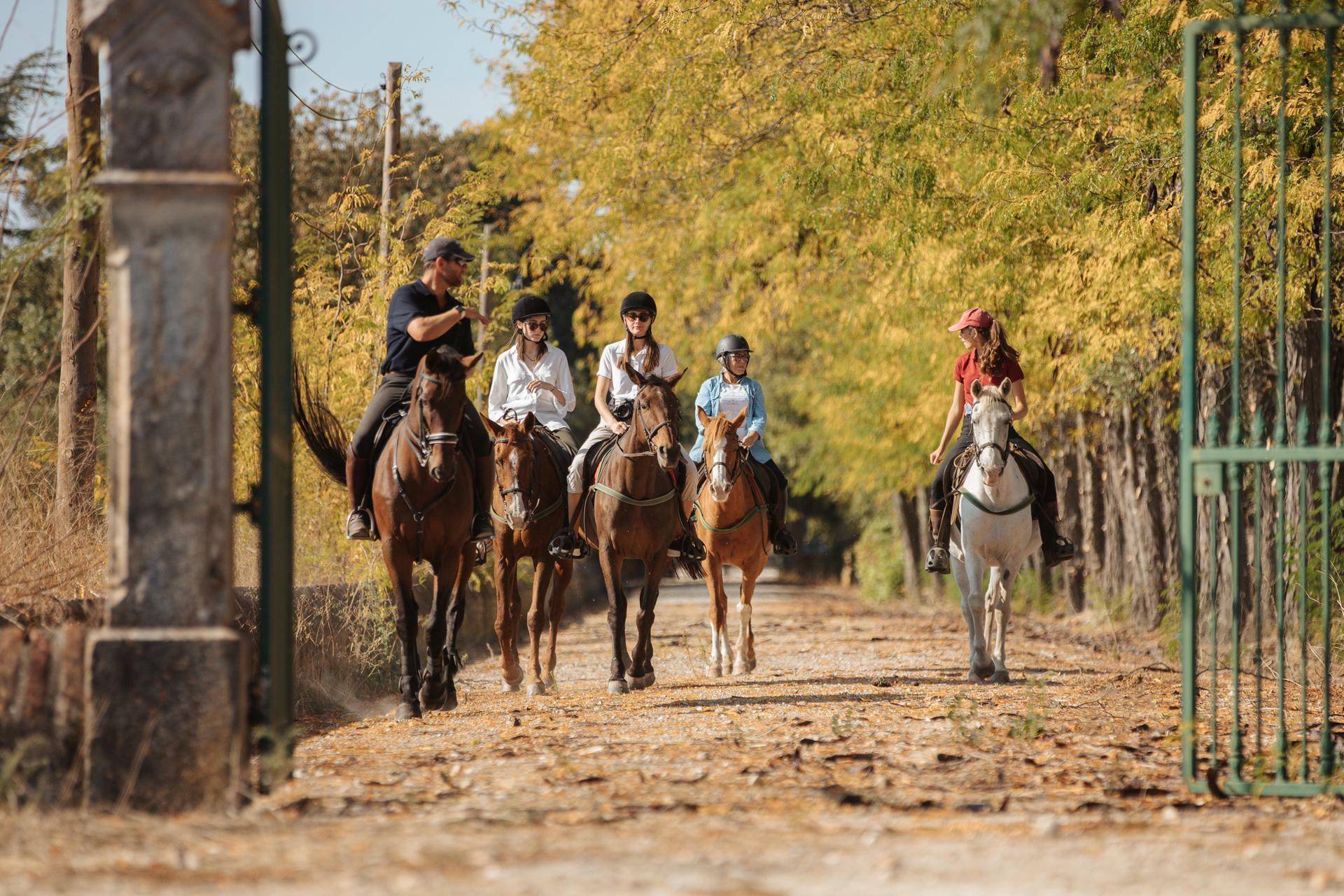 Experience Lagoalva, with lunch - Quinta Da Lagoalva - Winalist