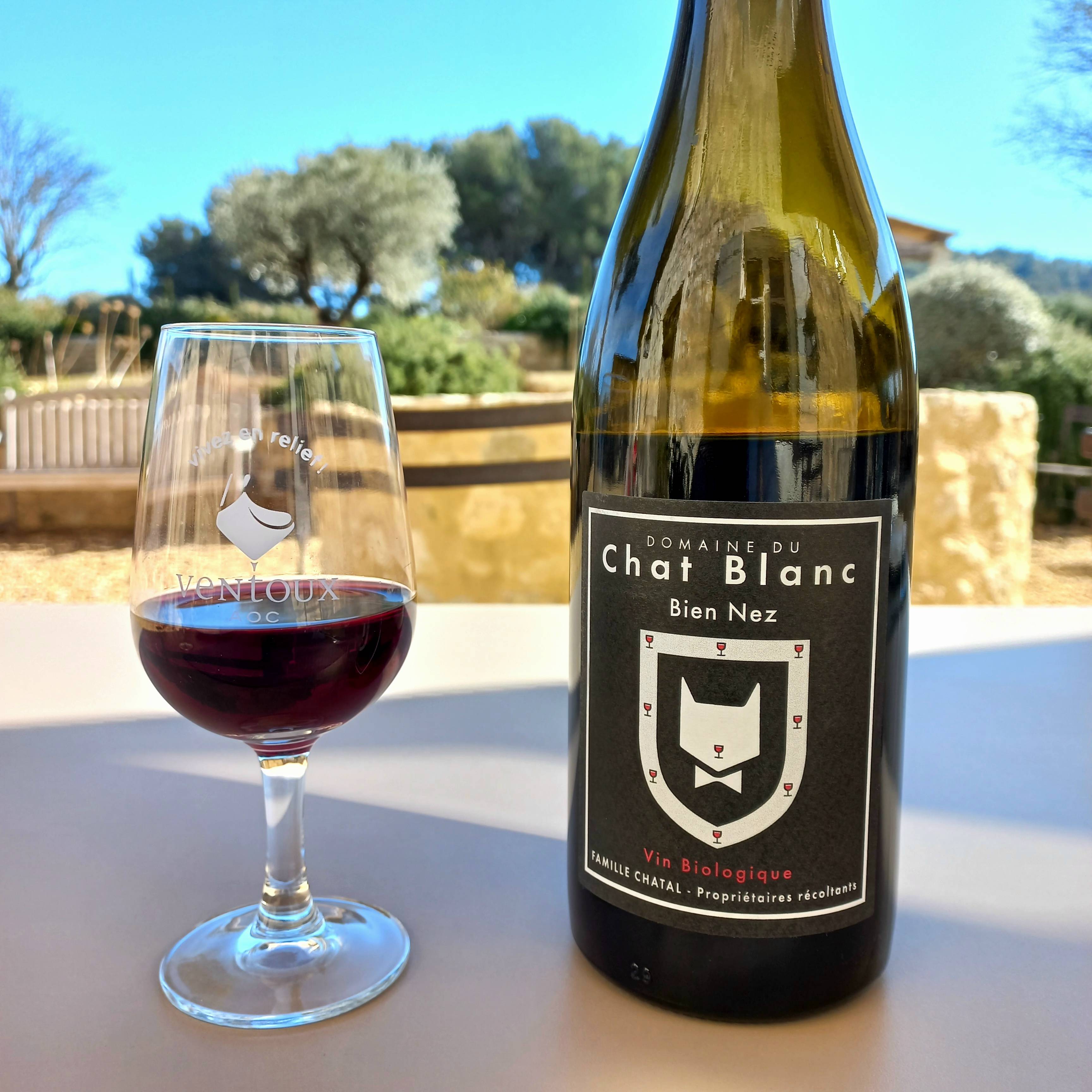 Dégustation commentée de 3 vins bio