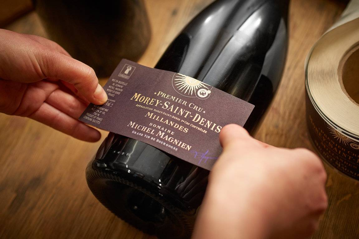 Domaine Michel Magnien Tour & Tasting 2026 ⭐️ Book your Visit Now!