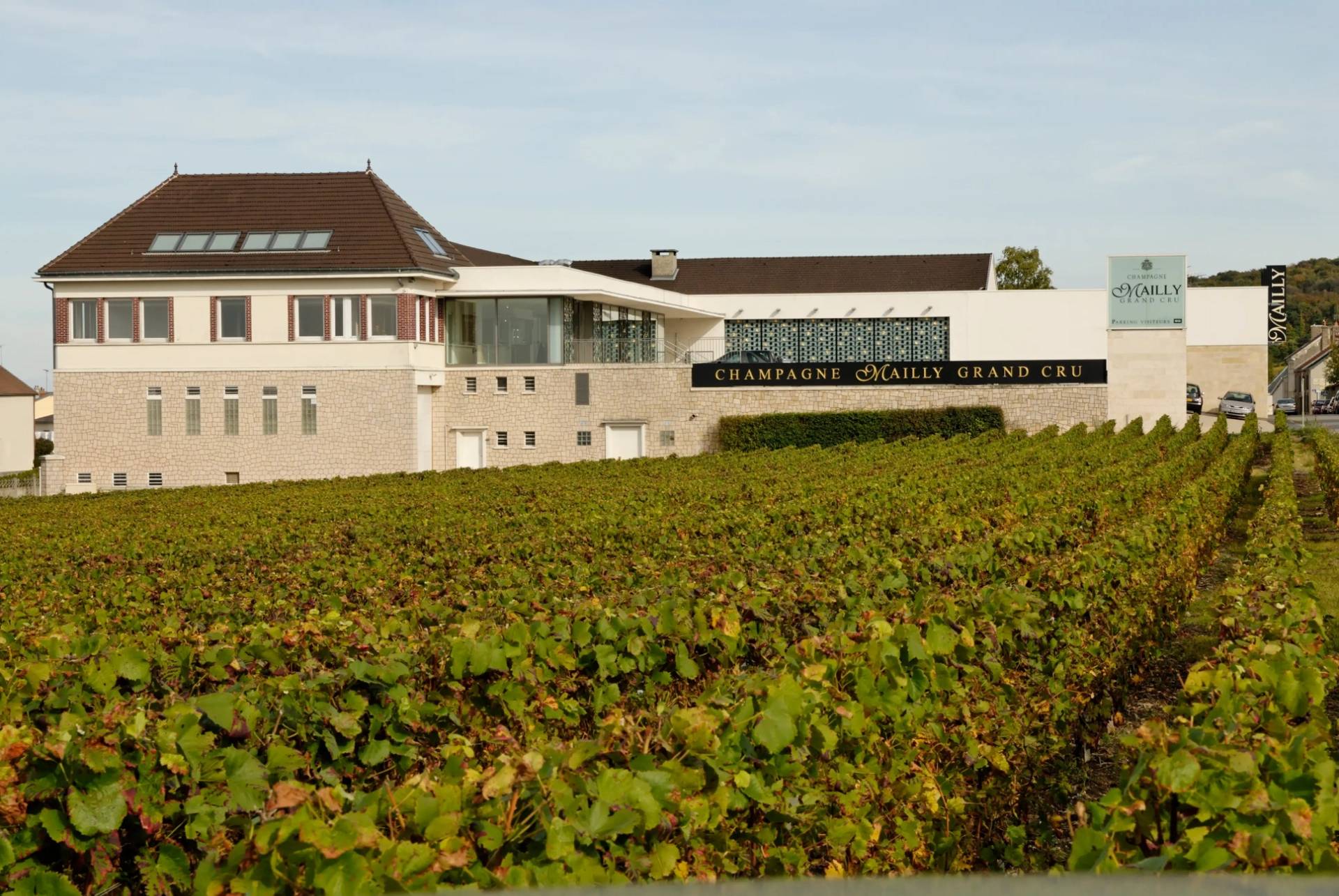 La Route du Champagne : Le meilleure circuit pour découvrir la région - 2026 - 12 - route du champagne route du champagne - La Route du Champagne : Le meilleure circuit pour découvrir la région - 2026 - 11