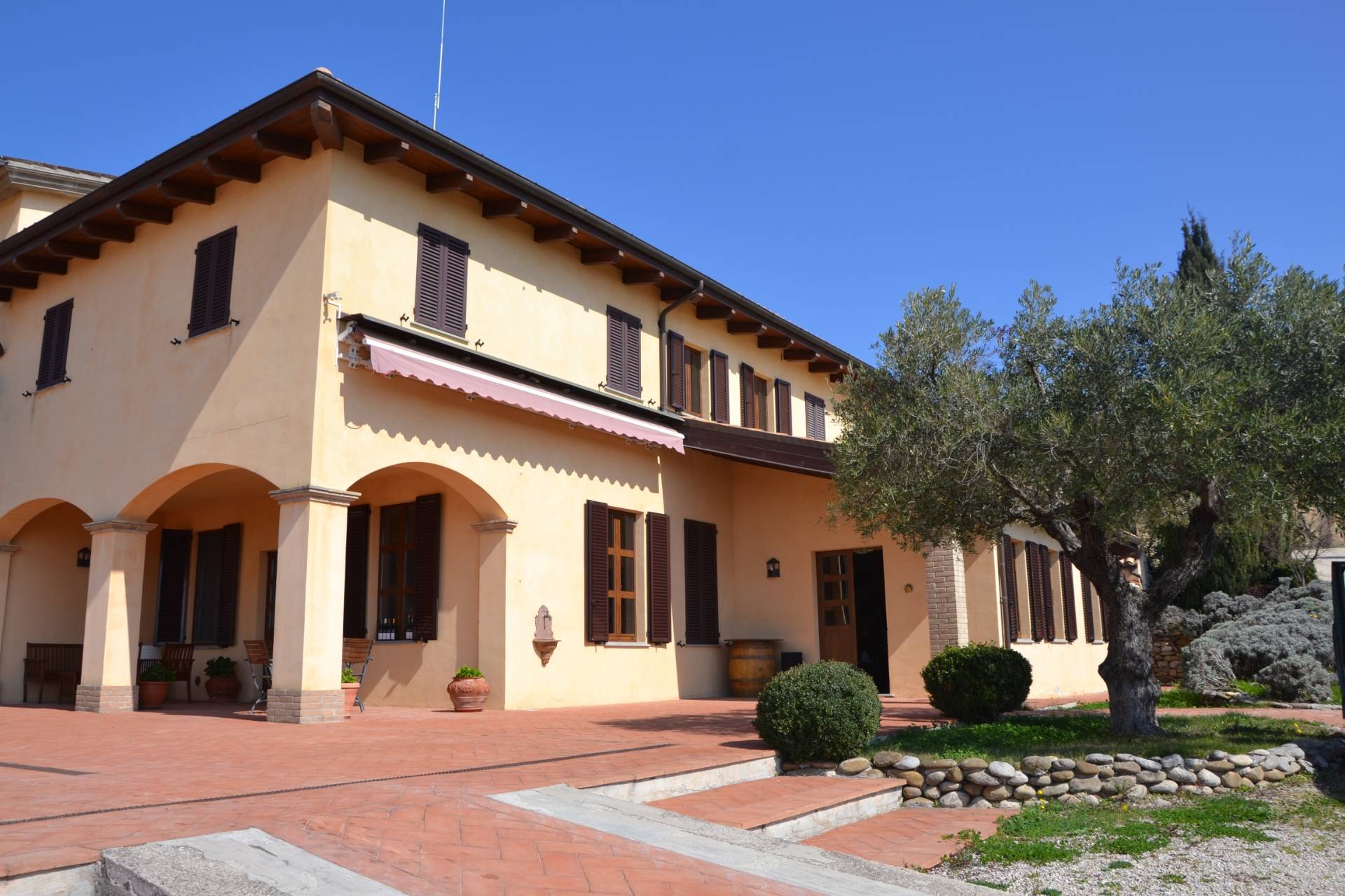 Cantina Orlandi Contucci Ponno - Winalist