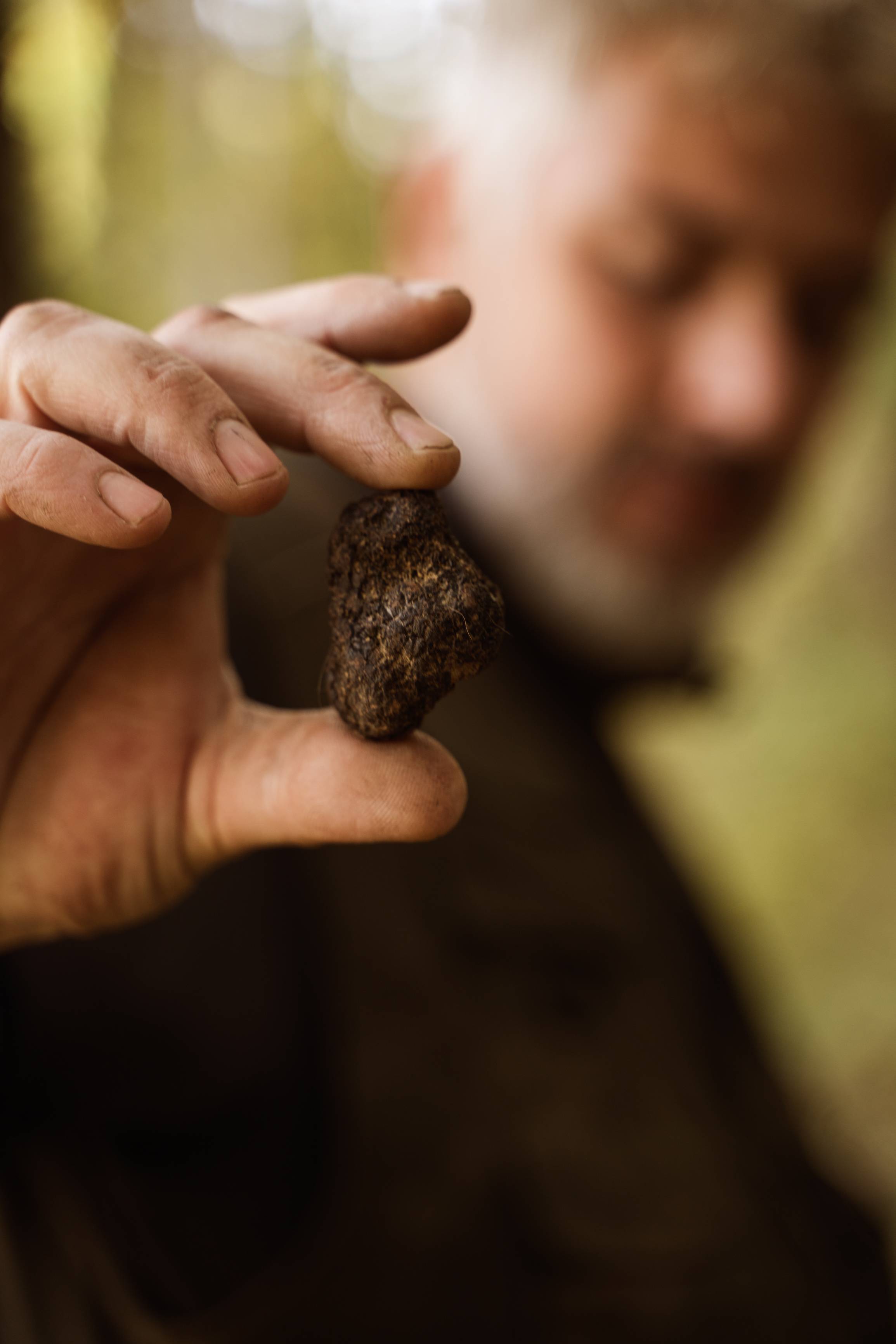 Caccia al tartufo con degustazione di 4 vini