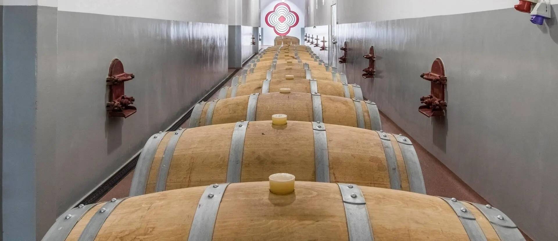 Visita, Degustazione Premium & Pasto