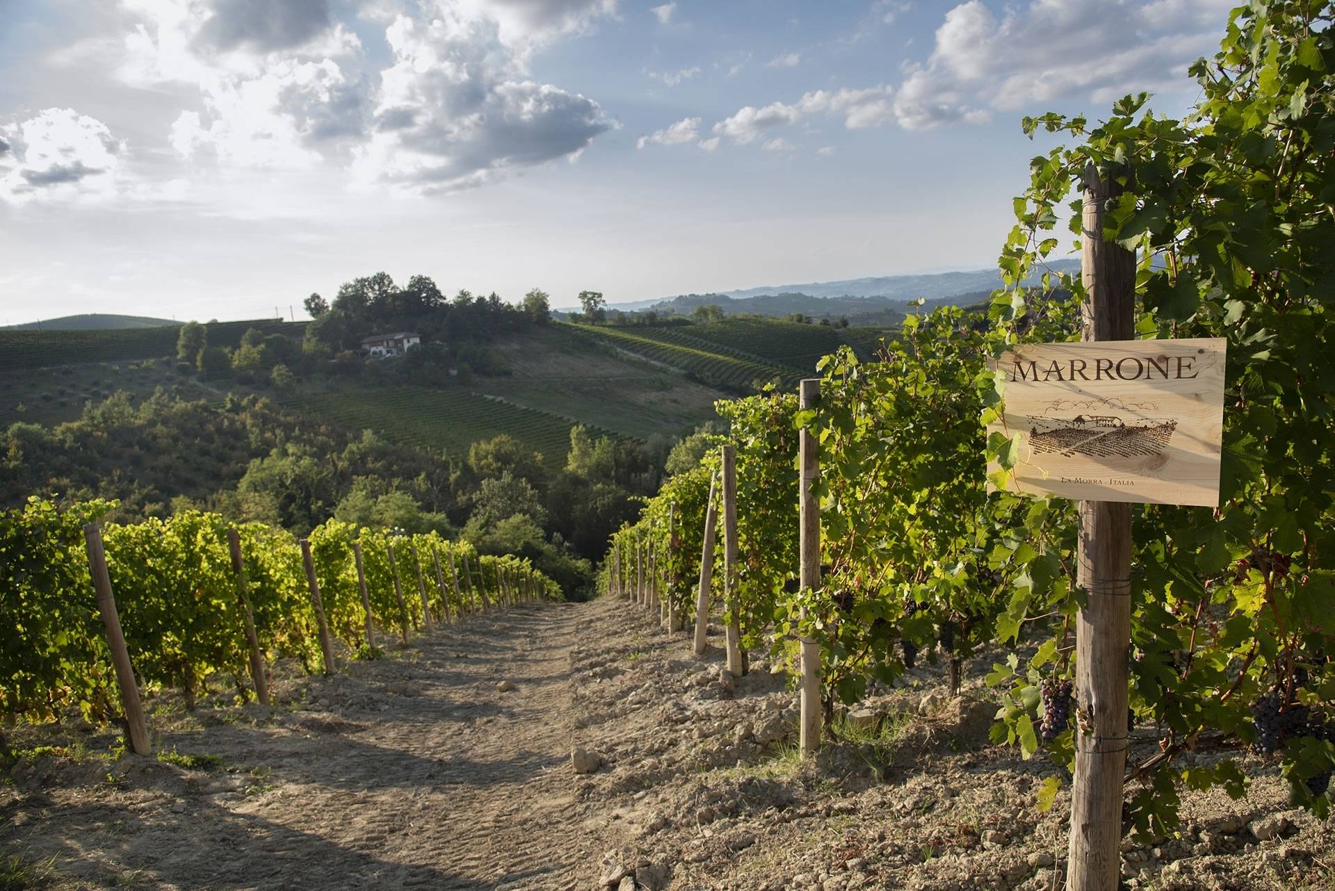 Agricola Gian Piero Marrone - Winalist