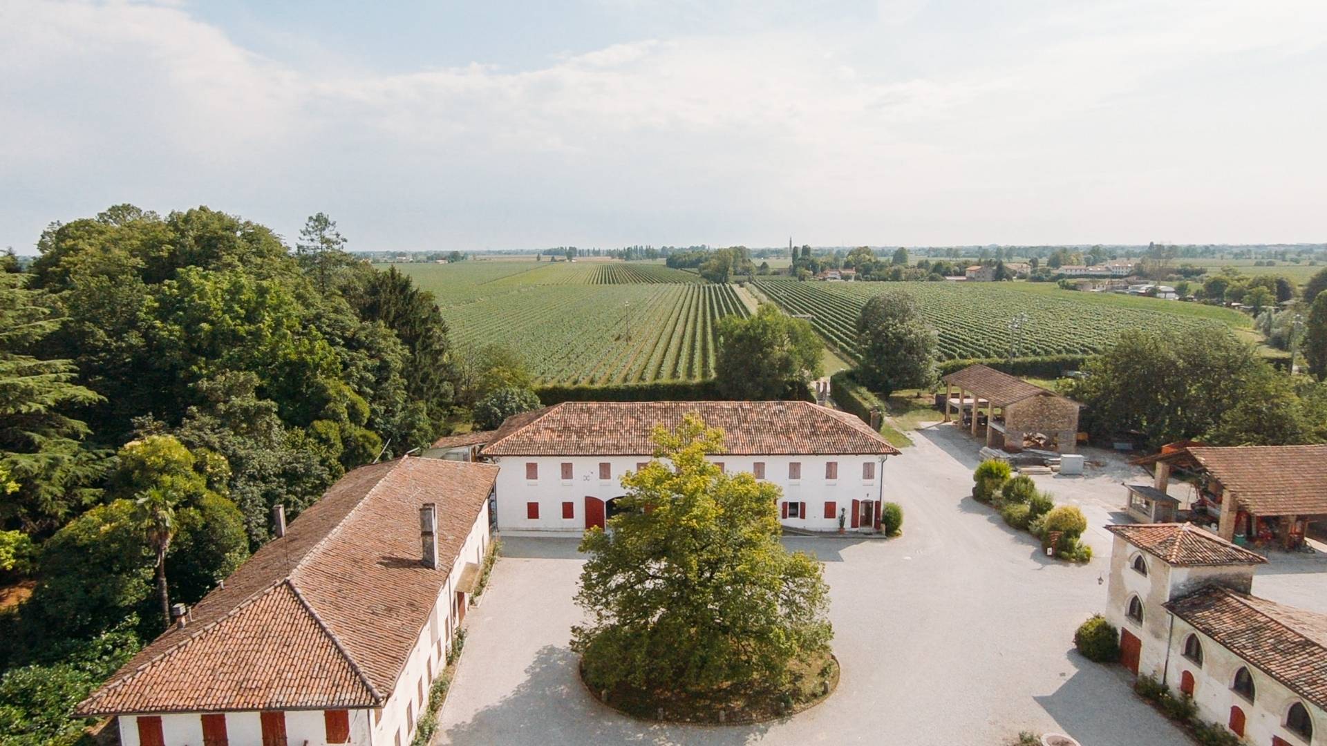 Rechsteiner  - Winalist