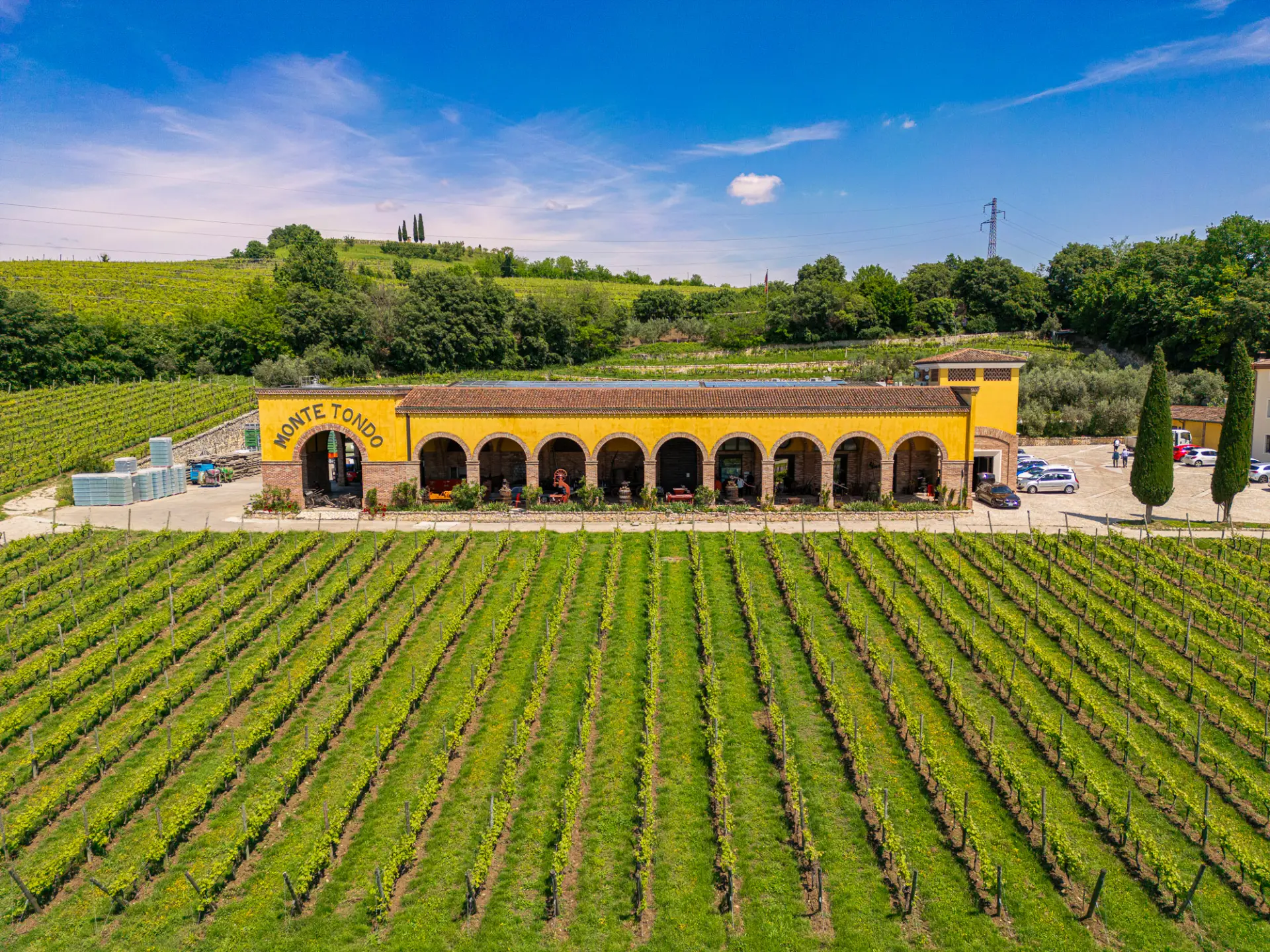 Monte Tondo - Winalist