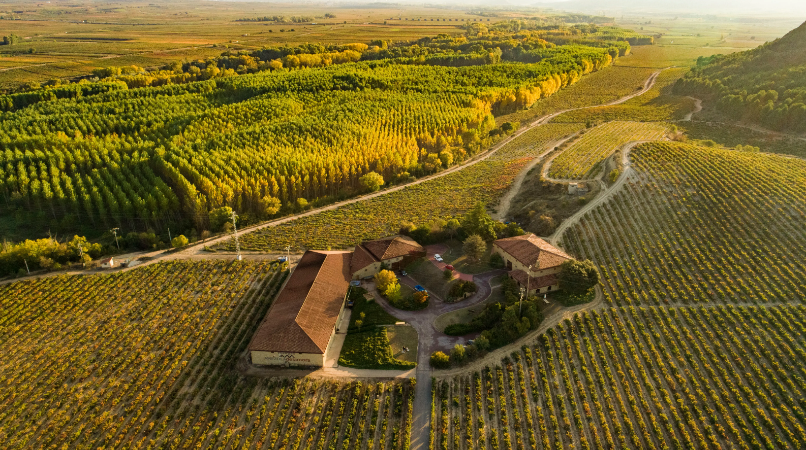 Bodegas Amézola de la Mora - Winalist