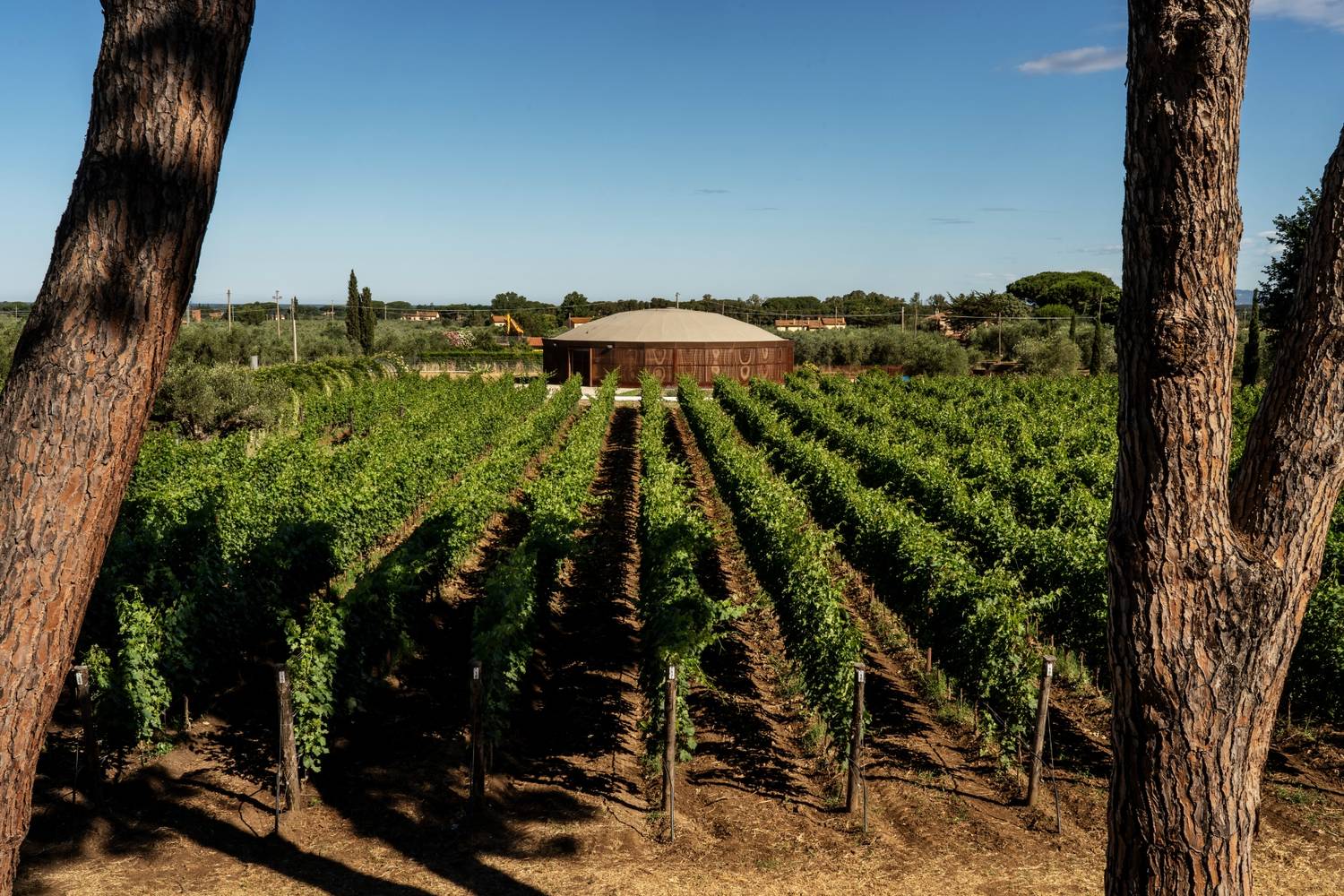 Discover the Best Things to Do in Livorno: A Local's Guide (Beaches, Restaurants & More) - 2026 - 24 - things to do livorno,weekend in livorno things to do livorno,weekend in livorno - Discover the Best Things to Do in Livorno: A Local's Guide (Beaches, Restaurants & More) - 2026 - 23