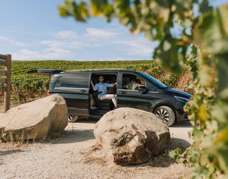 Alentejo Viti Tours Tour & Tasting 2026 ⭐️ Book your Visit Now!