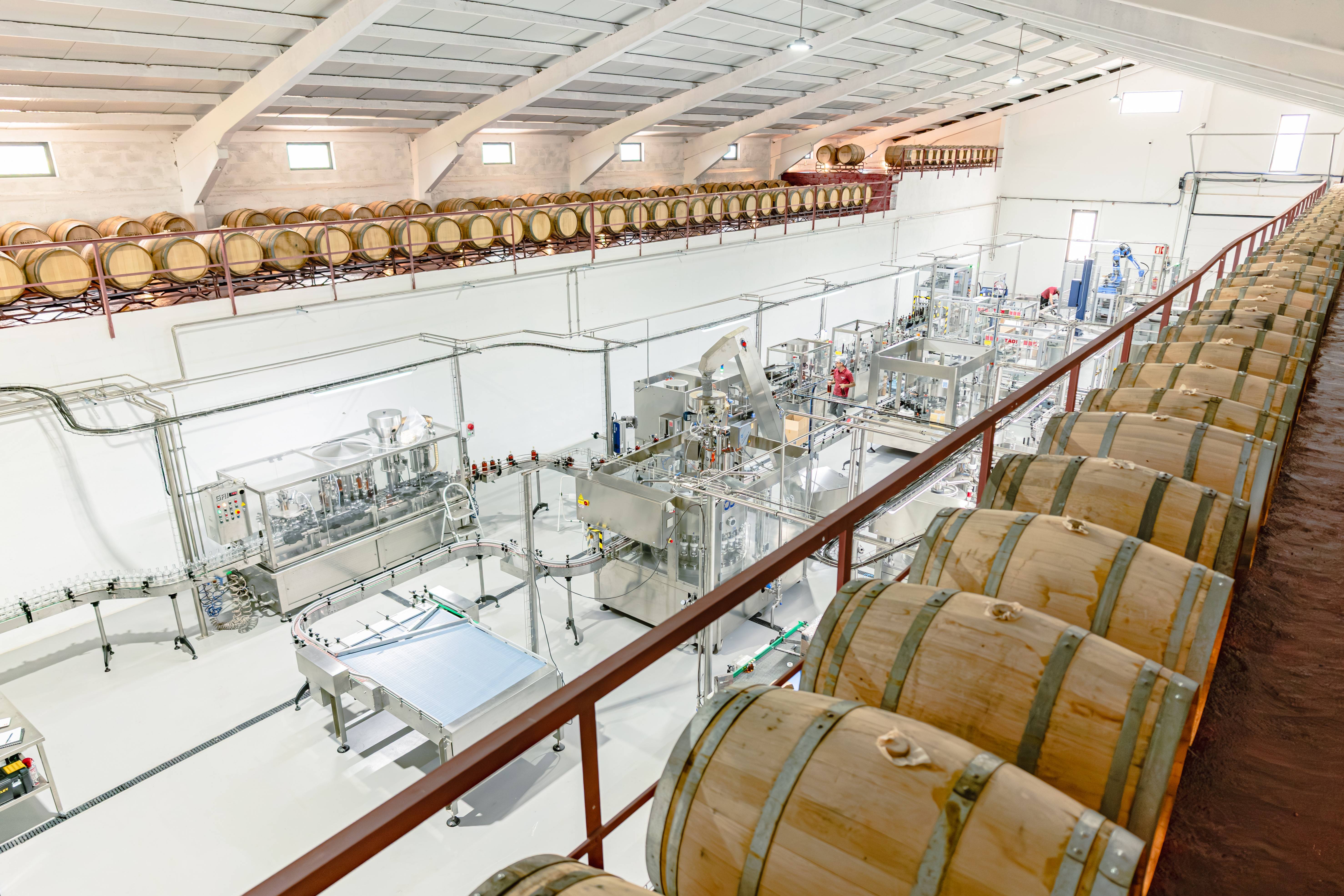 Martha's Harvest - visita e degustazione di vini DOC