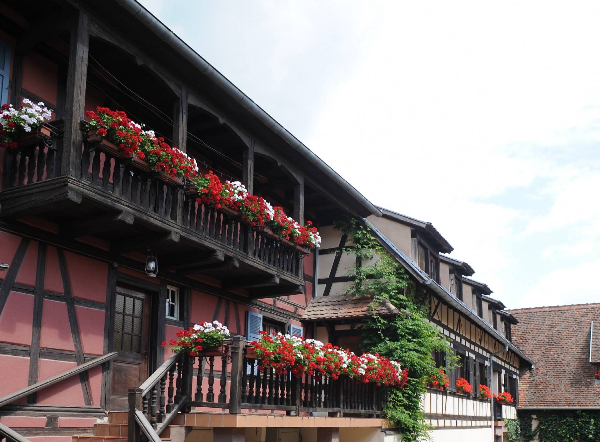 Domaine Mélanie Pfister - Winalist