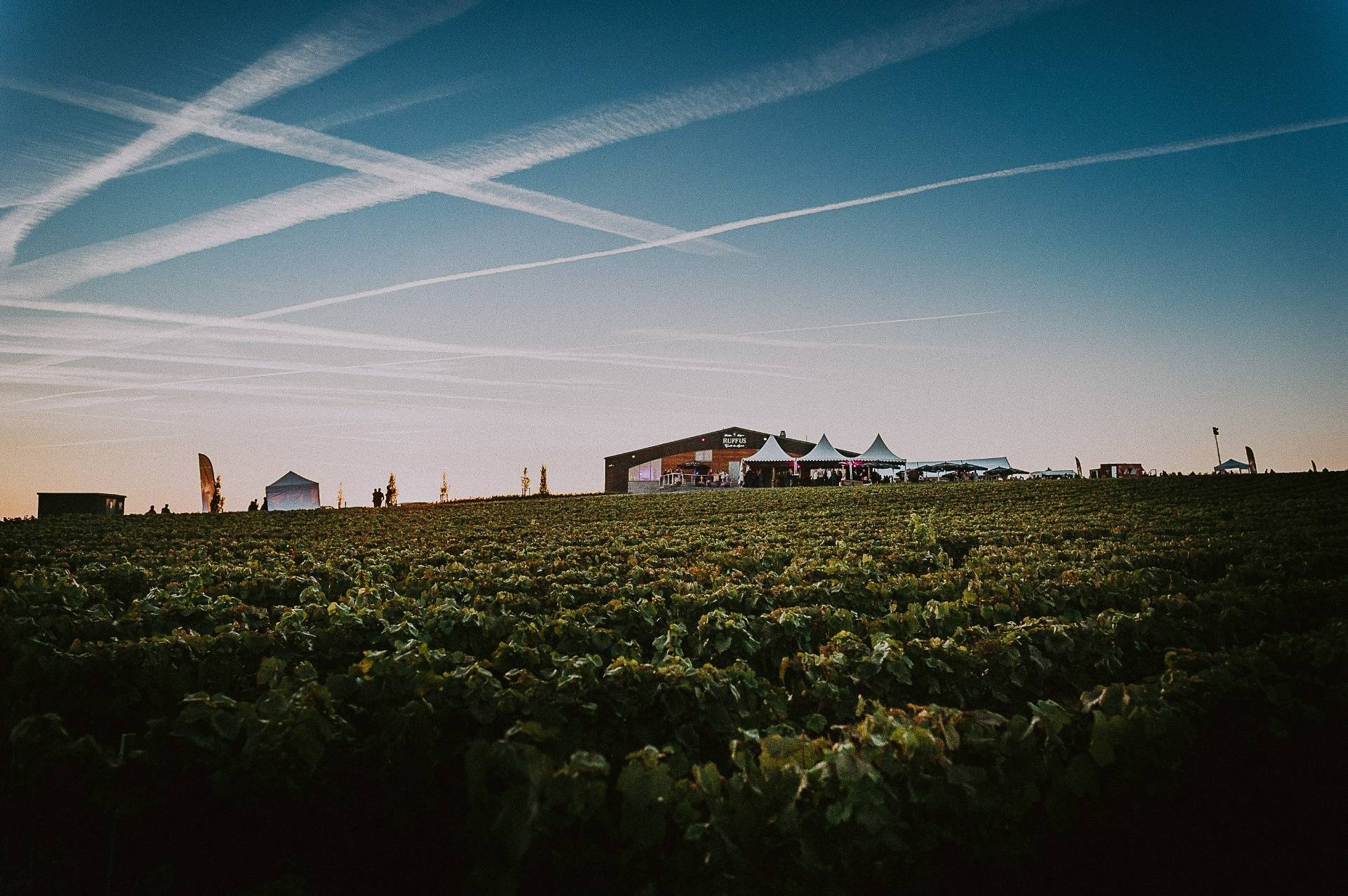 Ruffus - Vignoble Des Agaises - Winalist