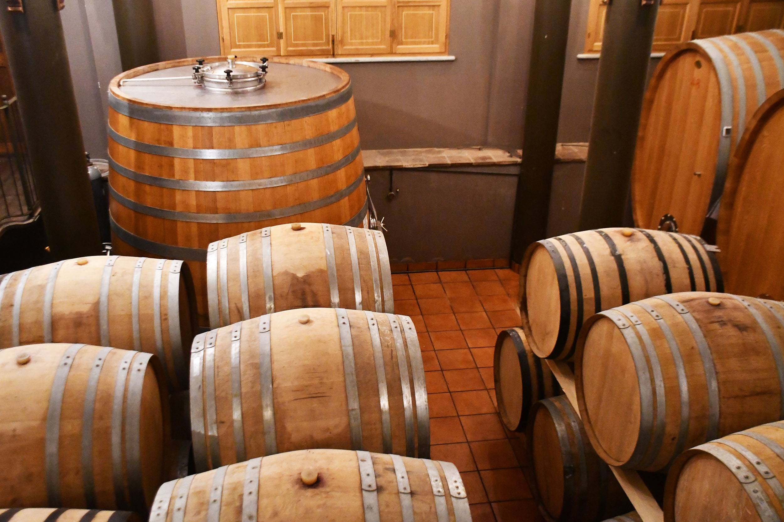 Verkostung - Unser Langhe
