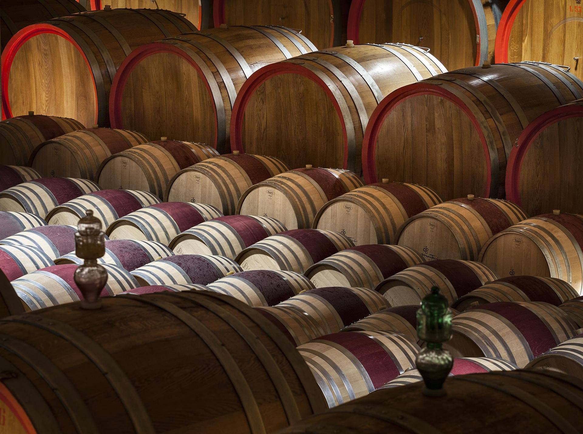 Tour- en proeverijervaring Valpolicella