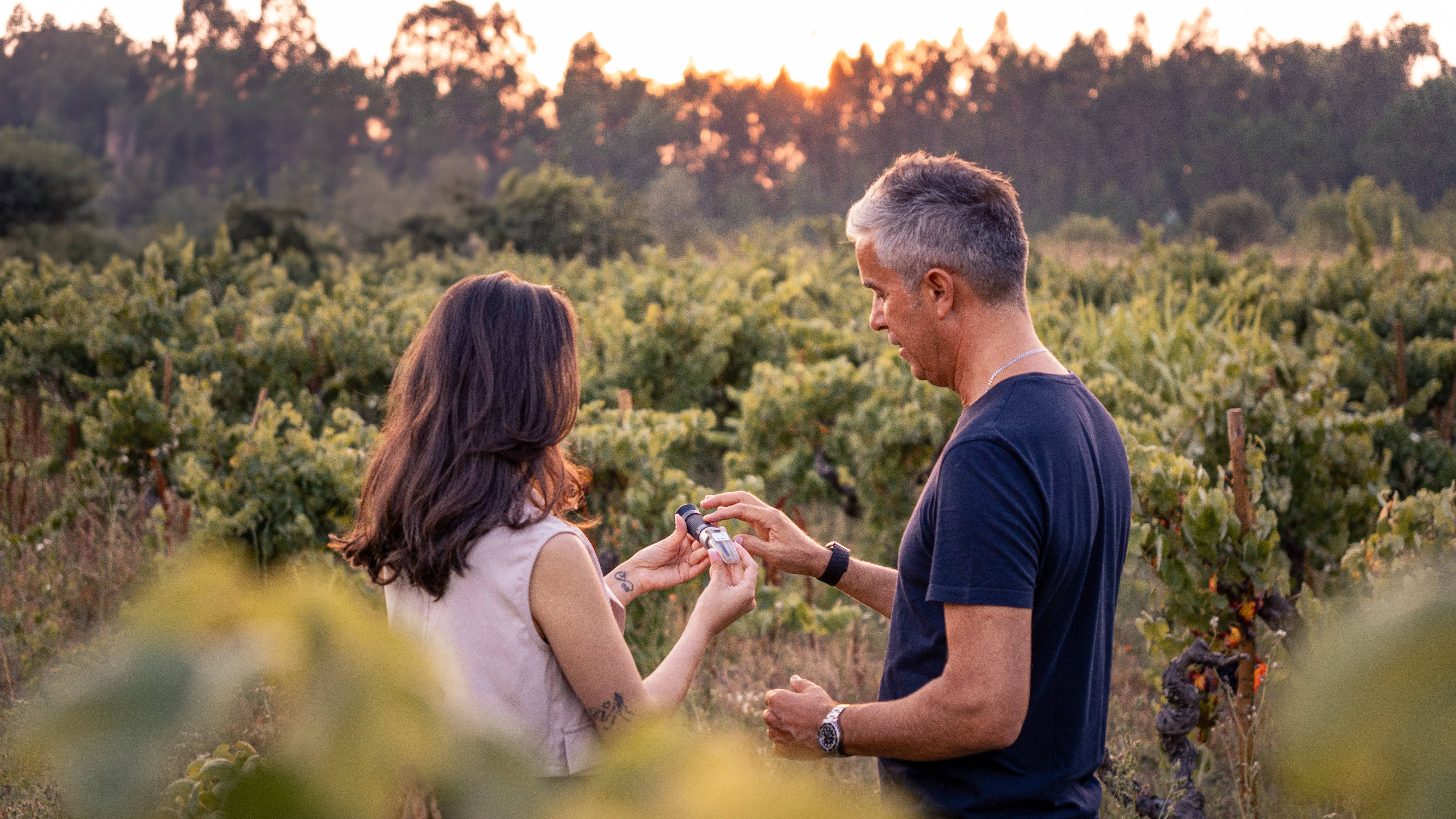 Classic Tour - Aleixo Wines - Real Cave Do Cedro - Winalist