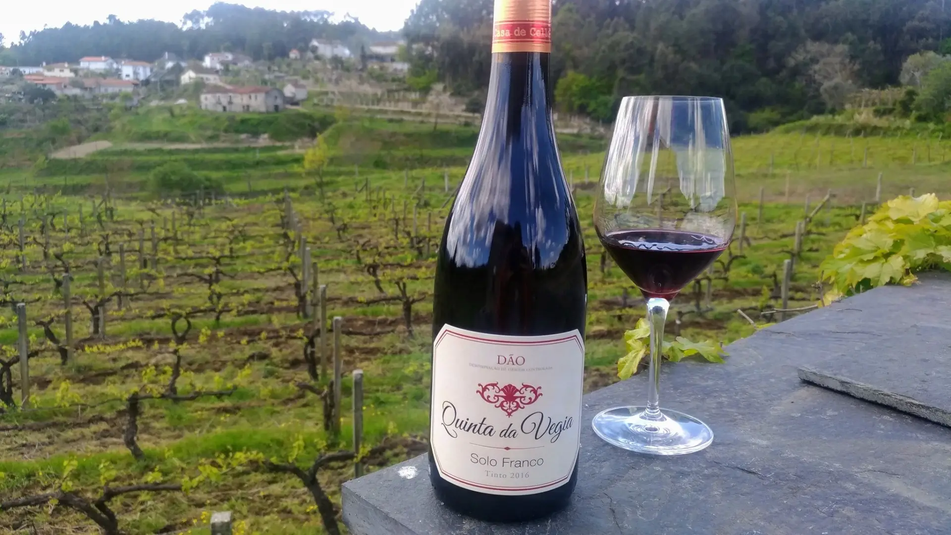 Quinta Da Vegia - Winalist