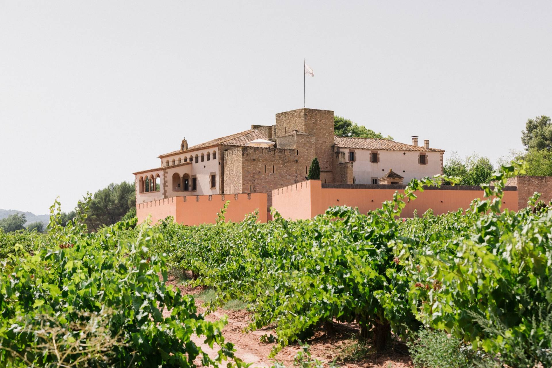 Celler Heretat Oller Del Mas - Winalist