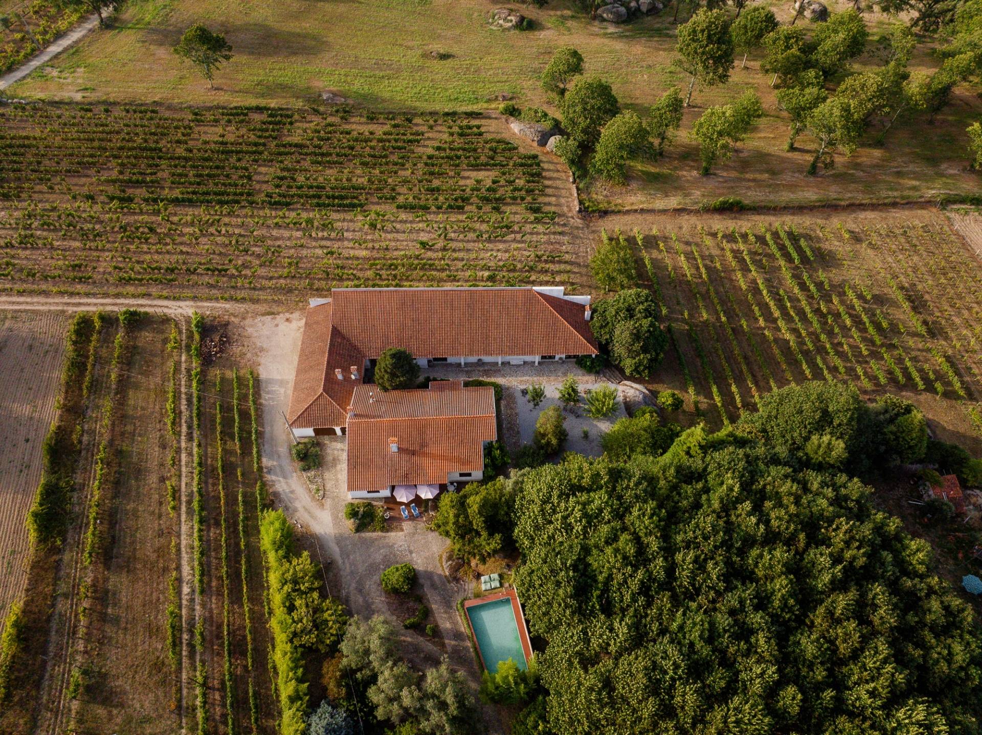 Pereira de Melo - Winalist