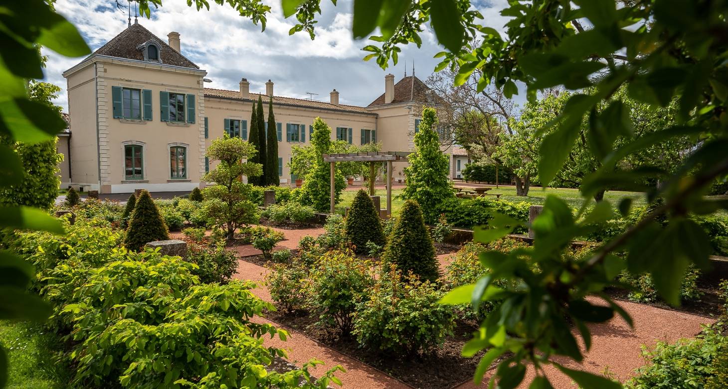 Visiter les plus beaux villages du Beaujolais: découvrir les incontournables - 2026 - 19 - beaux villages du beaujolais beaux villages du beaujolais - Visiter les plus beaux villages du Beaujolais: découvrir les incontournables - 2026 - 18