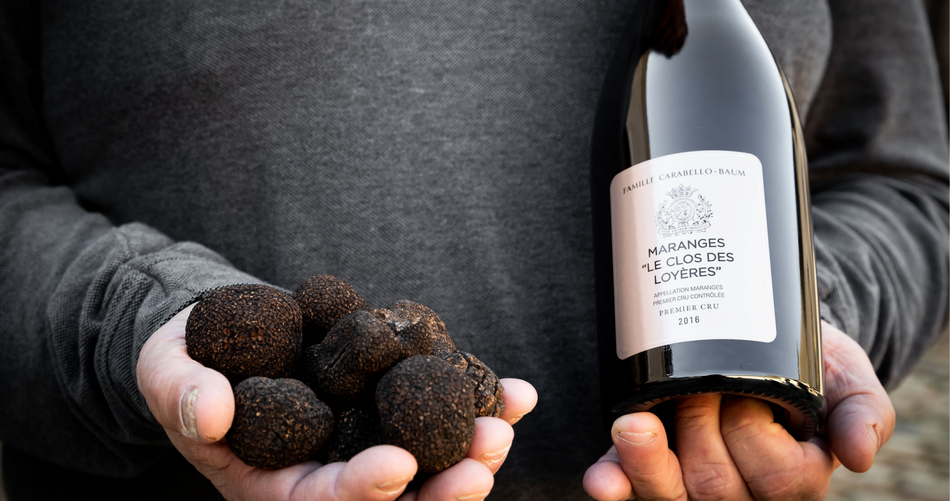 Château de Pommard Wine Tasting Tour vineyards in the background.