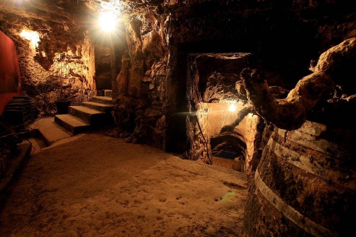Bodegas Lecea Tour & Tasting 2026 ⭐️ Book your Visit Now!