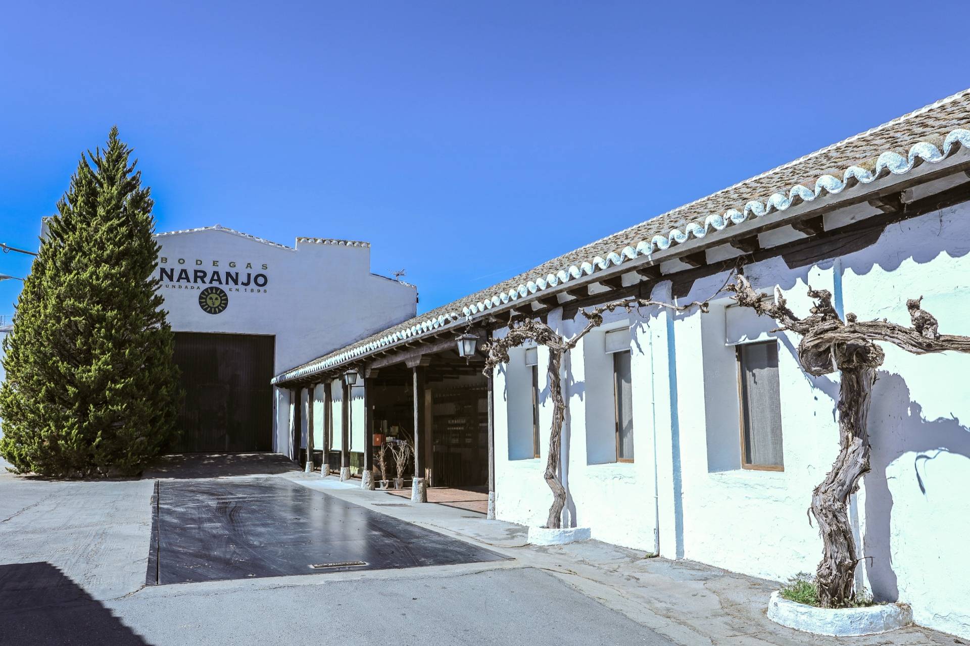 Bodegas Naranjo - Winalist