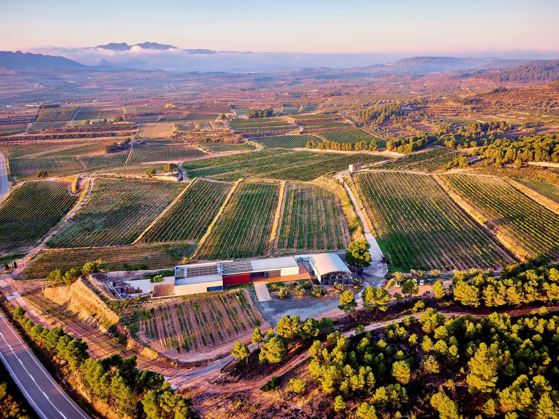 Celler Edetària - Winalist