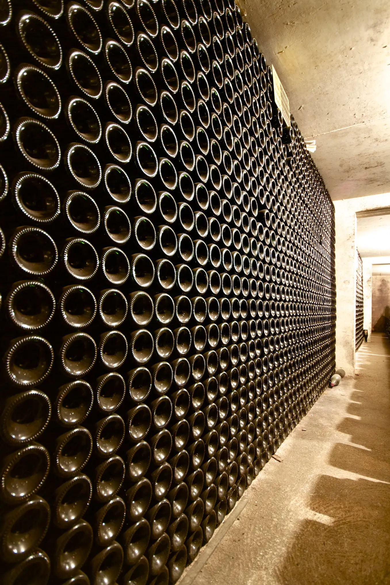 Visite et dégustation