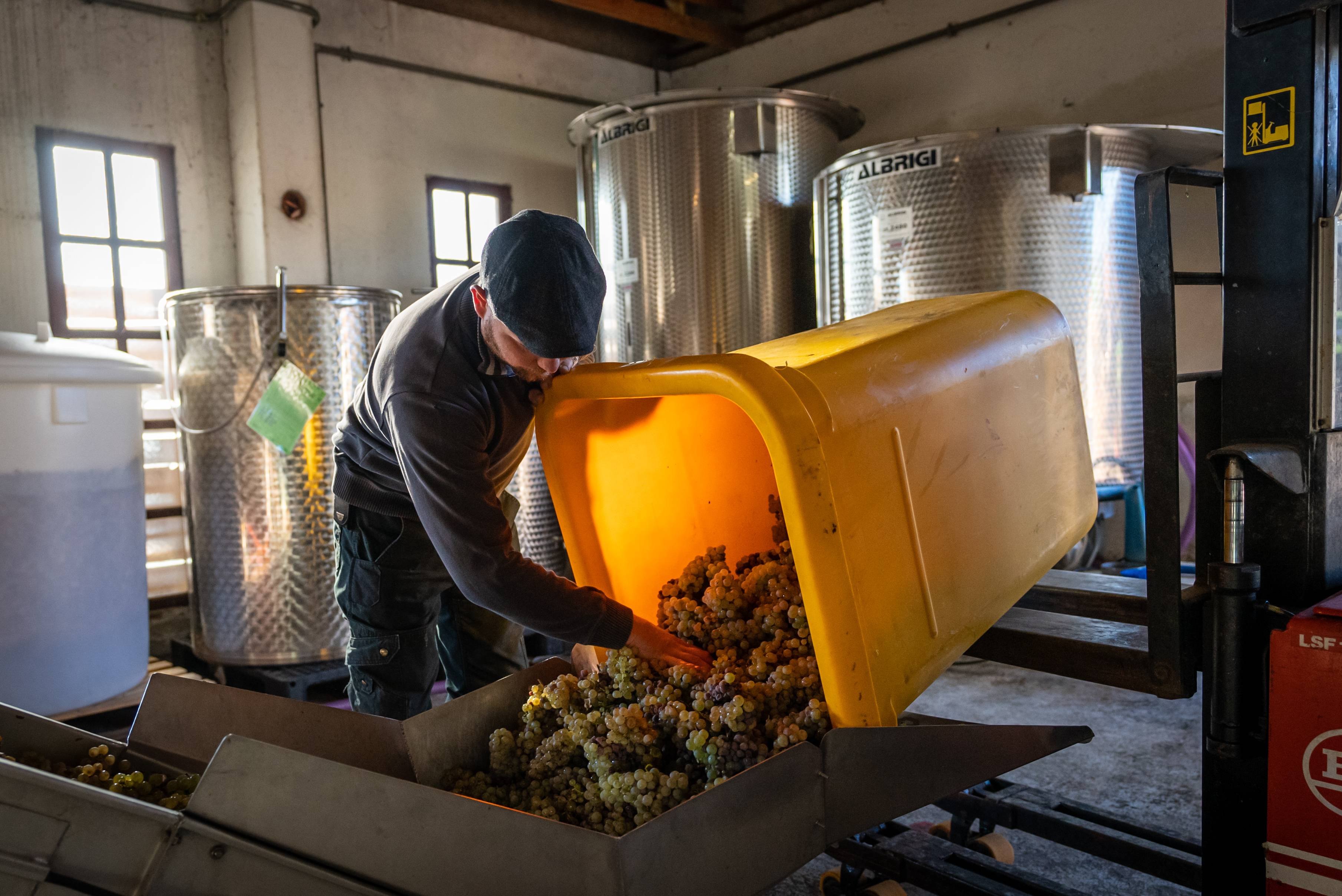 Winemaker for a day - Maison Jean Huttard - Winalist