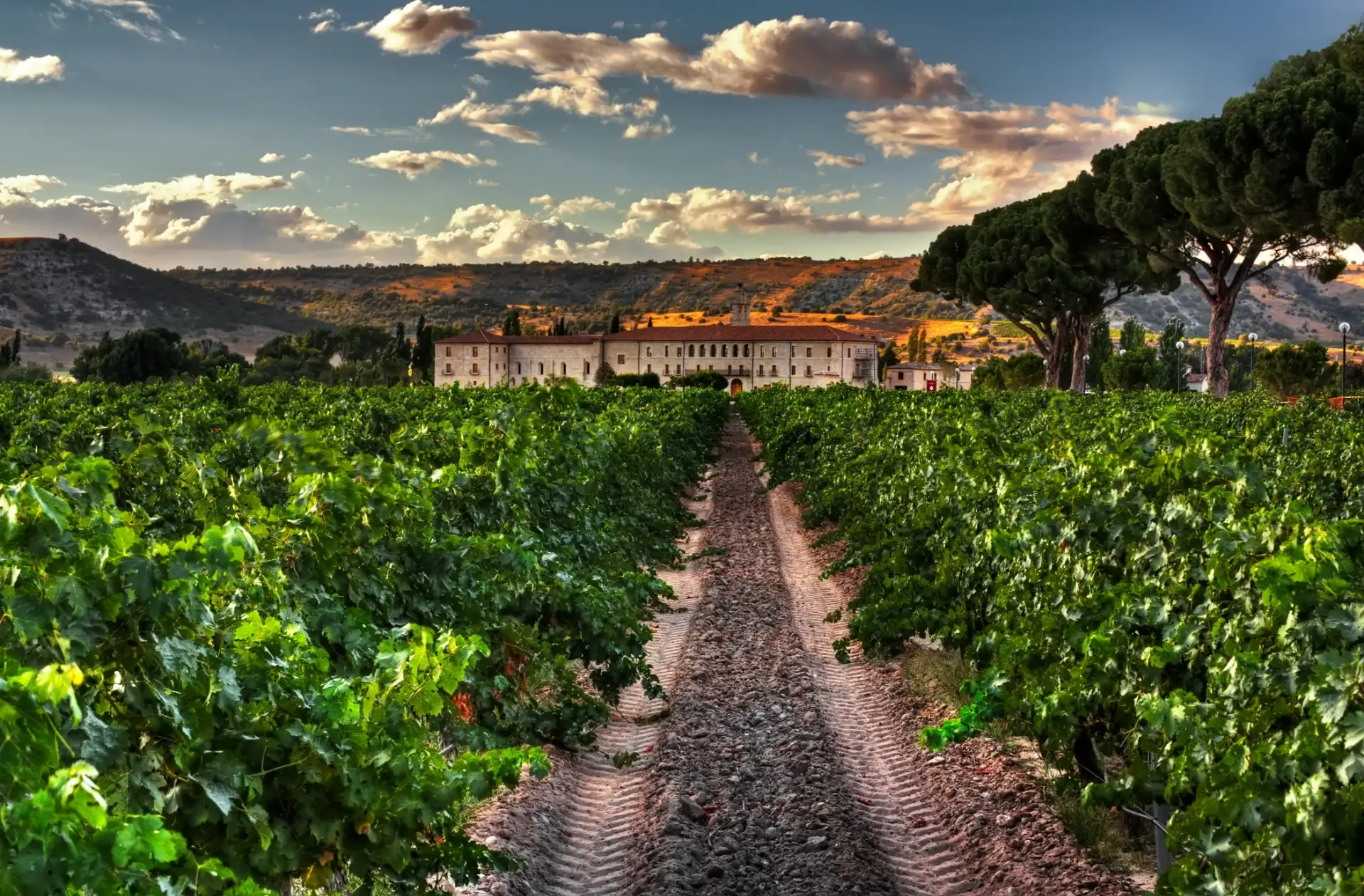 World Experience - Winalist