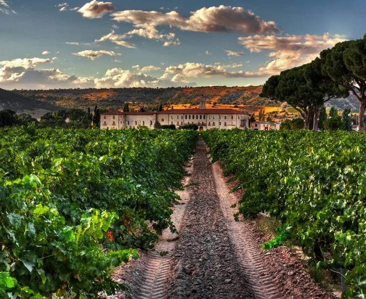 Alella Visitar bodegas en alella | Arsecultur.com