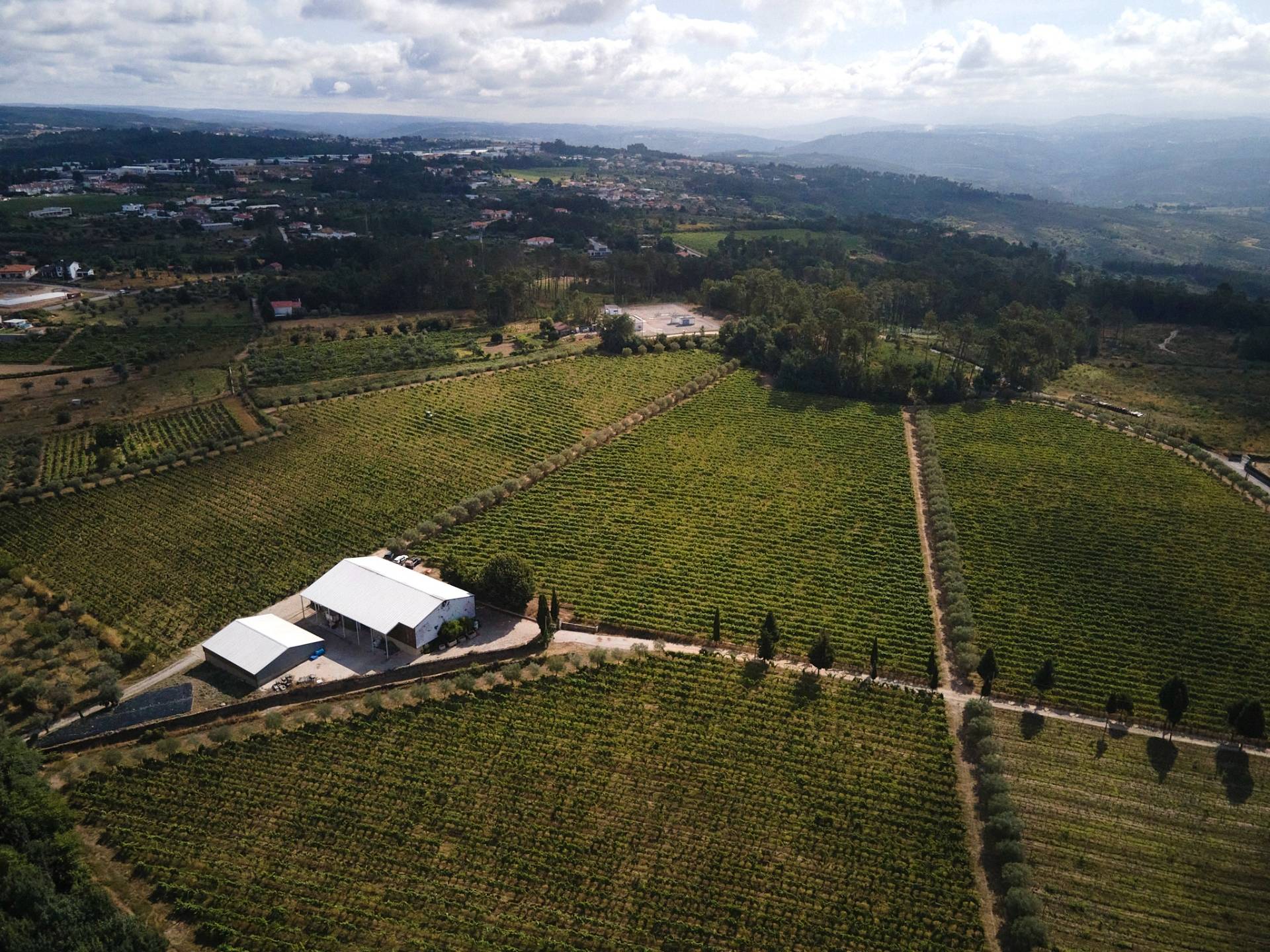 Quinta De São Francisco  - Winalist