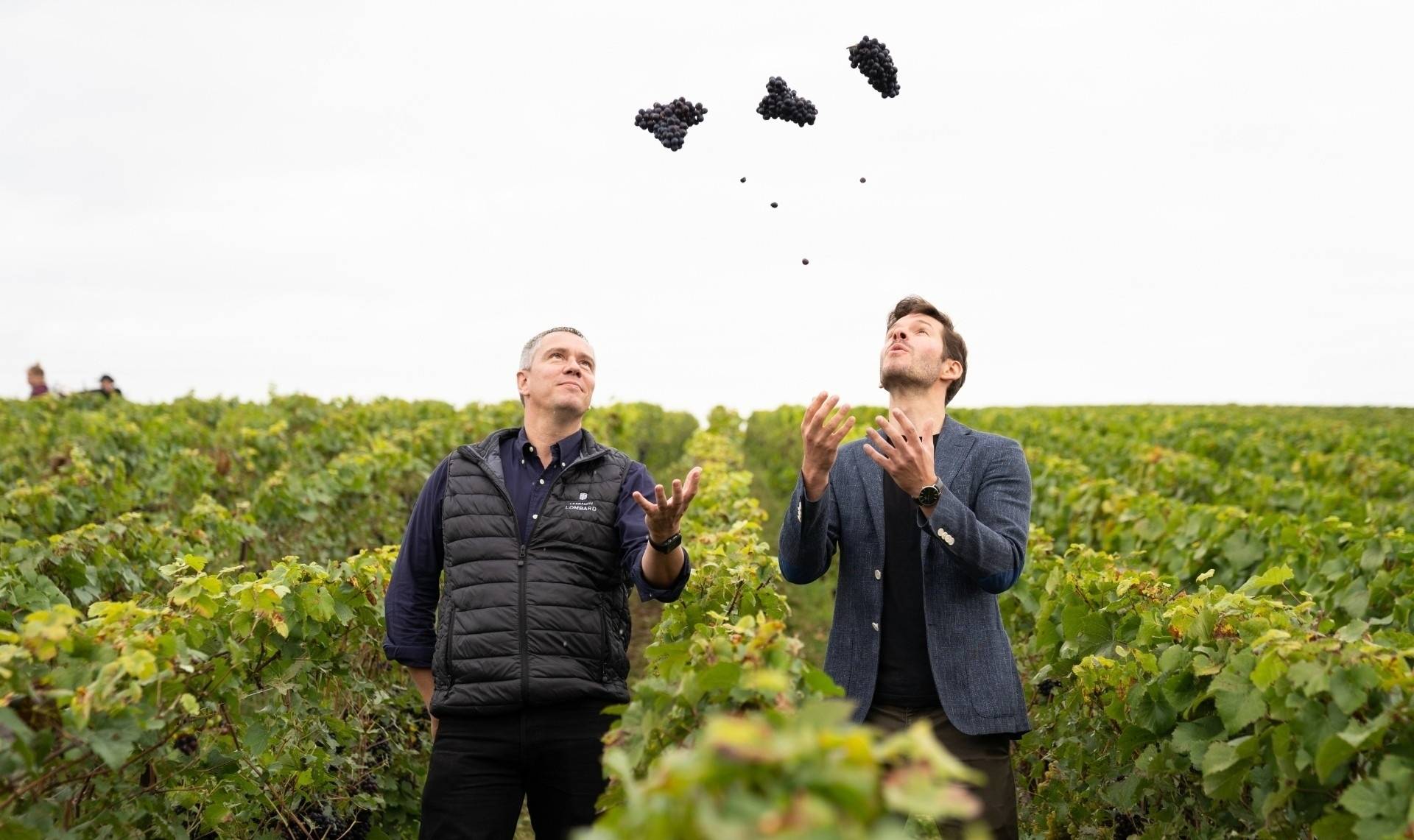 Champagne Lombard - Winalist