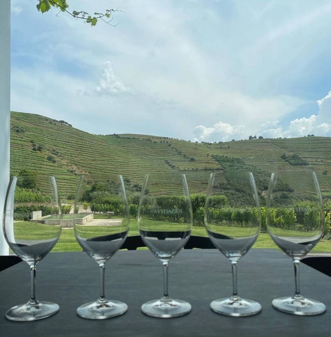 Quinta Dos Avidagos - Winalist