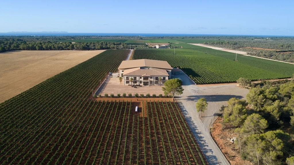 Bodegas Vi Rei - Winalist