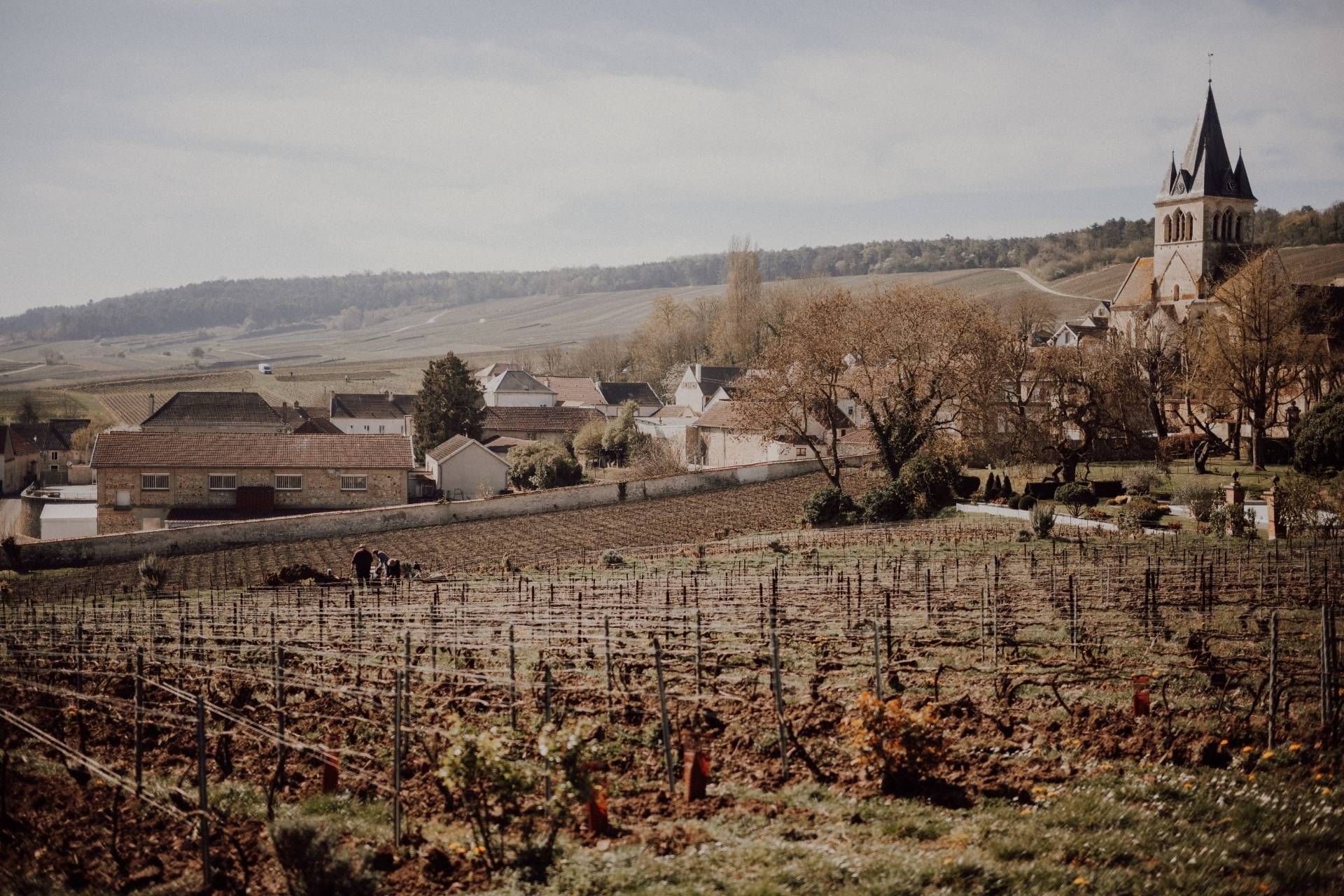 Champagne Clos des Bergeronneau  - Winalist