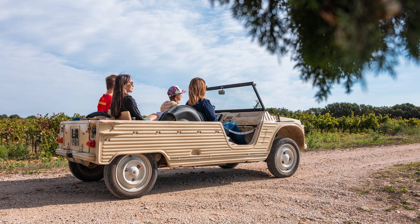 Visiter Nîmes : les incontournables à faire dans la ville des arènes - 2026 - 23 - visiter nimes visiter nimes - Visiter Nîmes : les incontournables à faire dans la ville des arènes - 2026 - 22