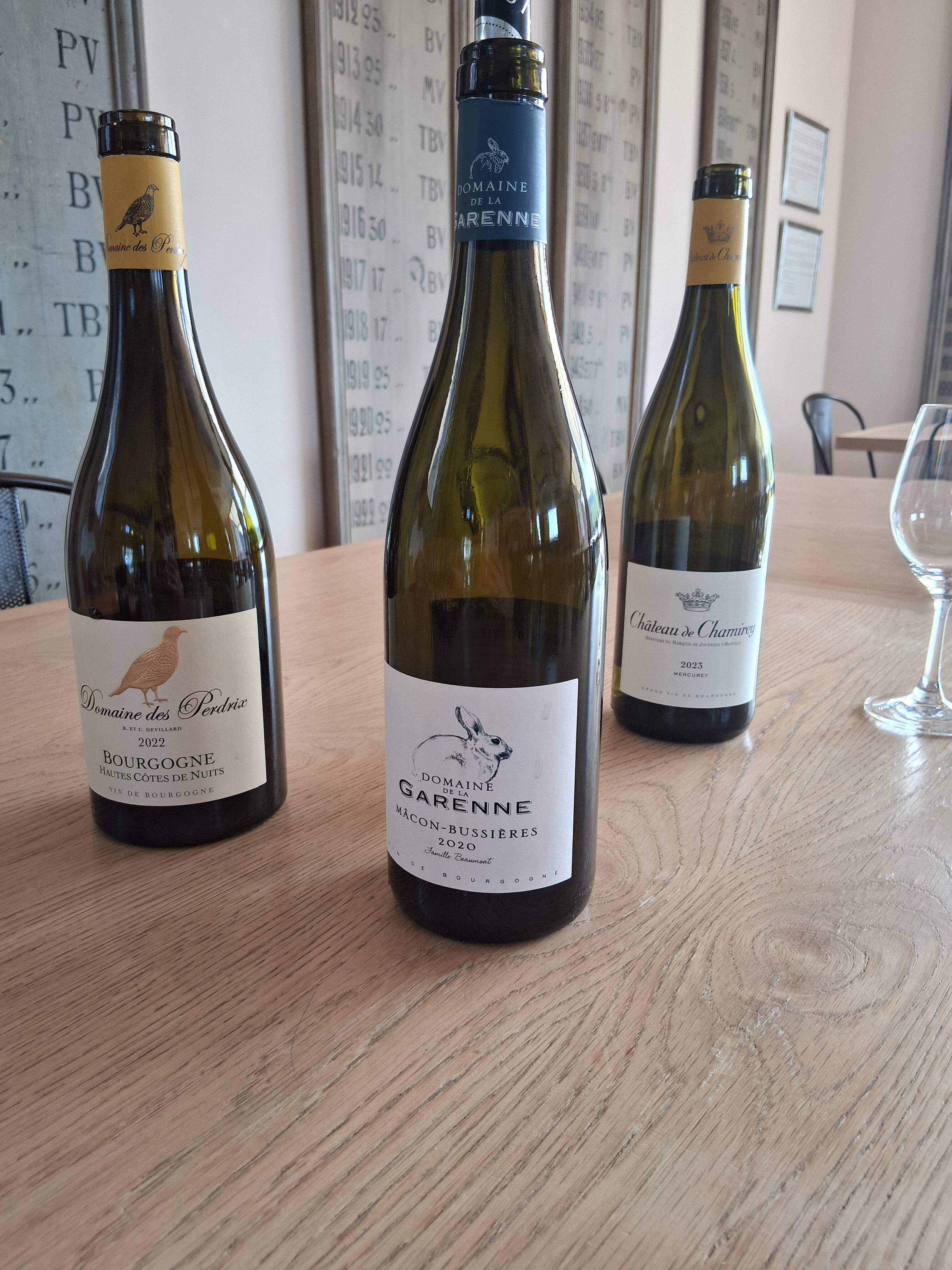 Prova de 5 vinhos com tábua de aperitivos