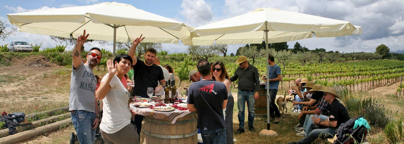 Finca Agrícola Parera ⭐️ Tour, Reviews, Price - 2025