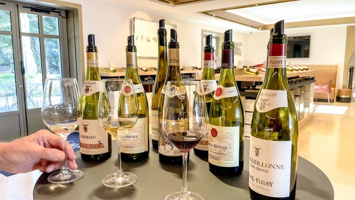 Vineyards in the Spotlight: "Focus Condrieu & Côte-Rôtie"