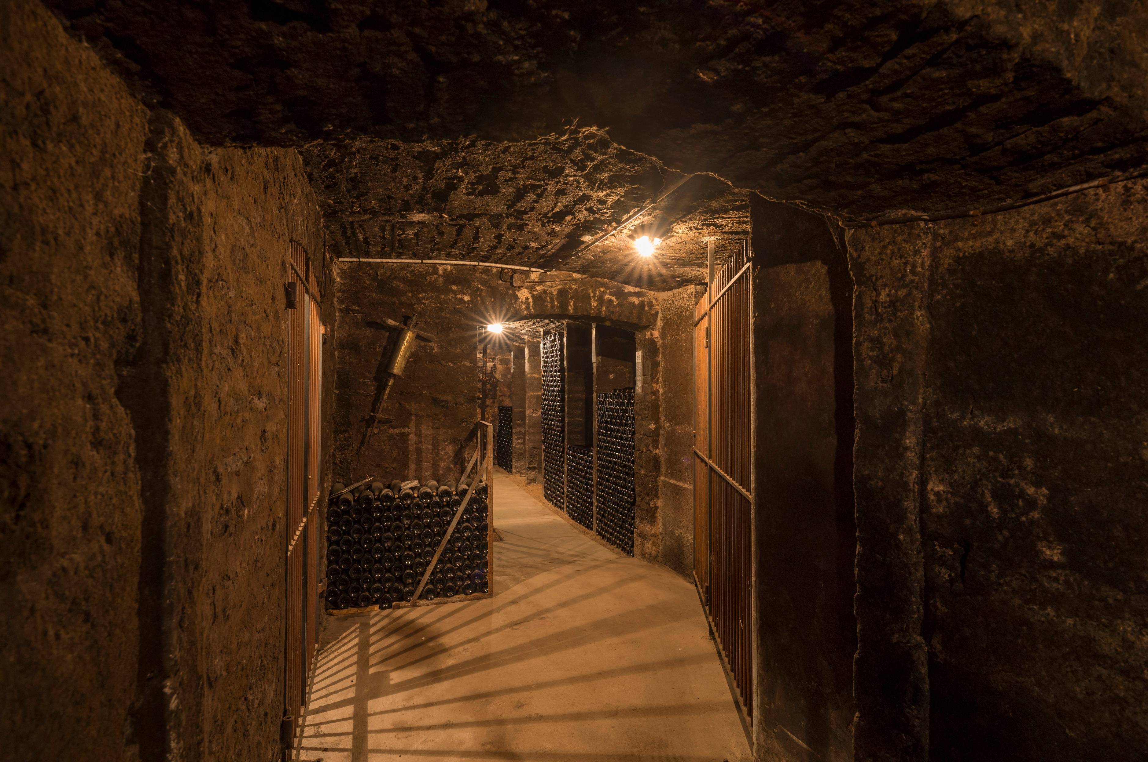 Kelderbezoek & proeverij