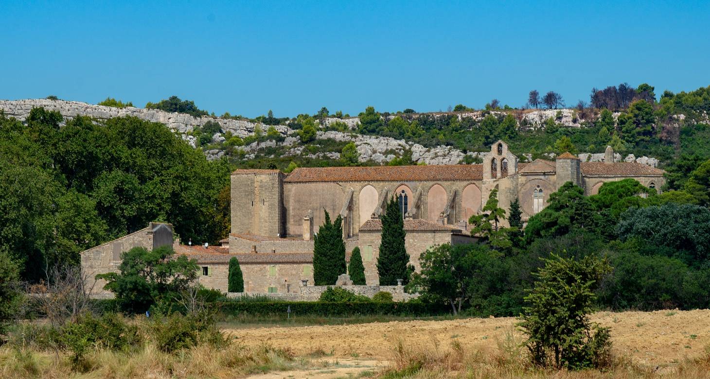 Visiter Montpellier : les incontournables à faire et voir dans le sud - 2026 - 16 - visiter montpellier visiter montpellier - Visiter Montpellier : les incontournables à faire et voir dans le sud - 2026 - 15