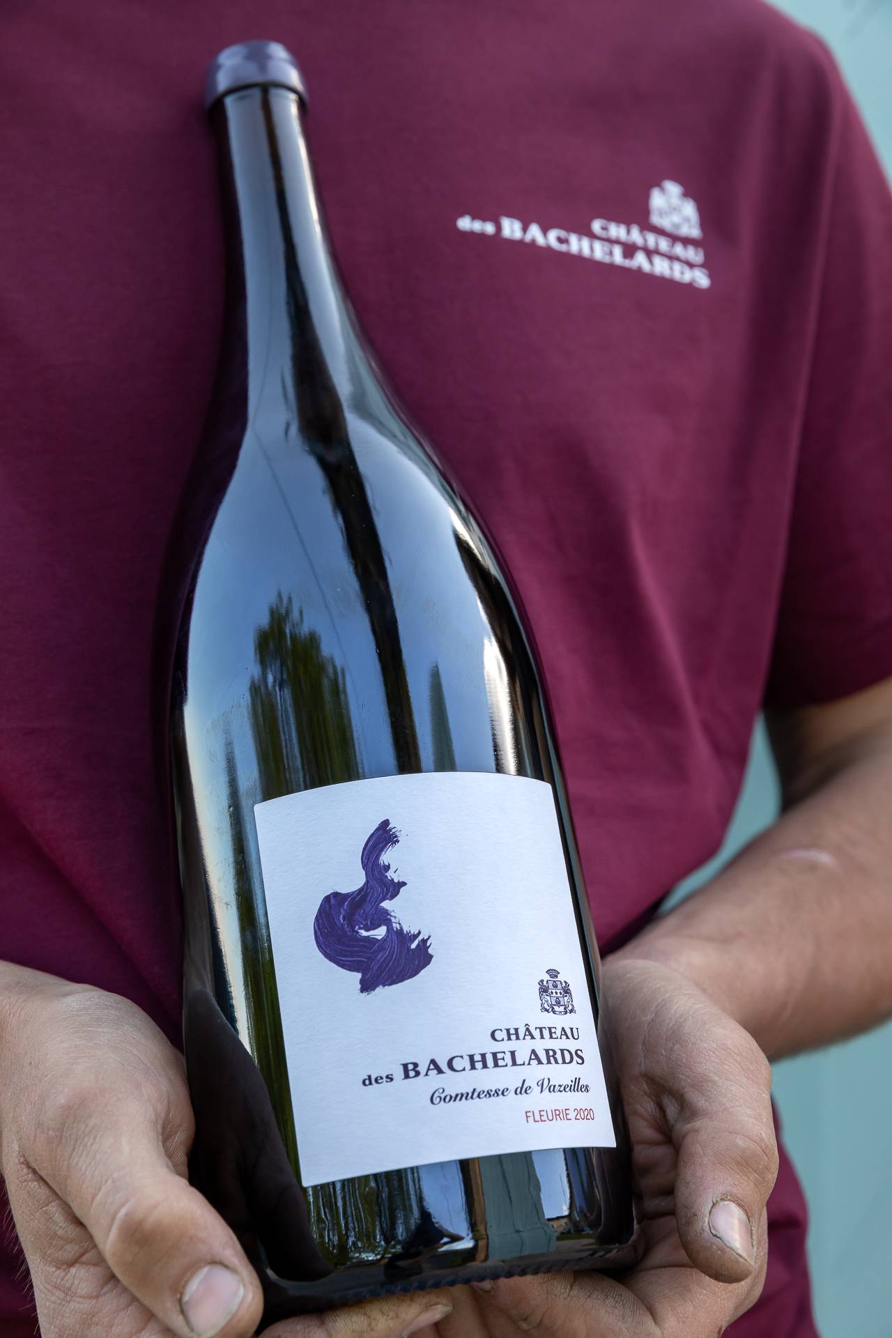 Vigília dos Bachelards - Château des Bachelards  - Winalist