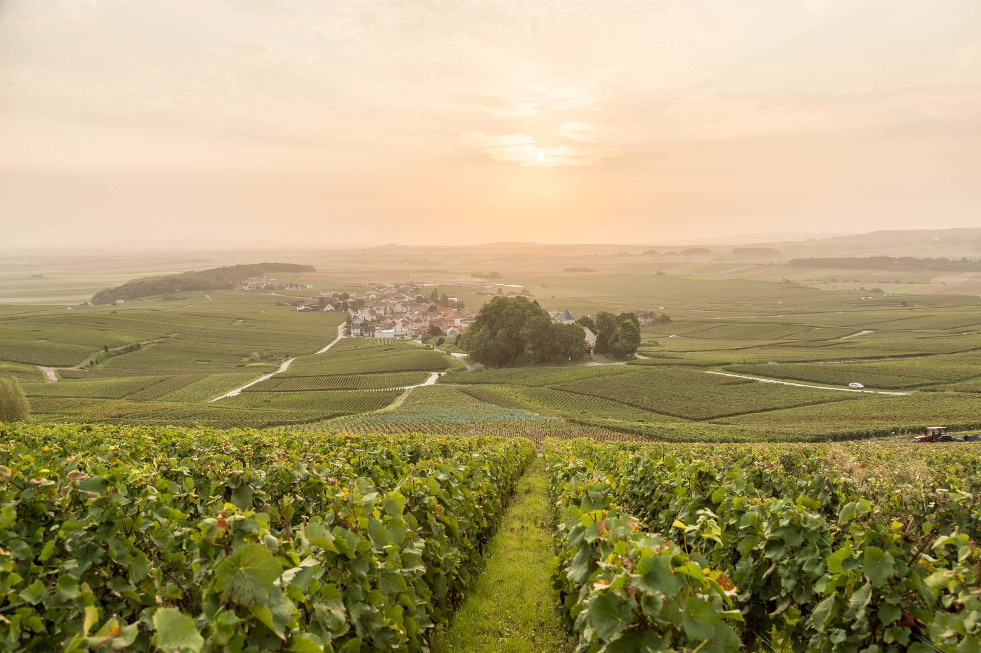 La Route du Champagne : Le meilleure circuit pour découvrir la région - 2026 - 8 - route du champagne route du champagne - La Route du Champagne : Le meilleure circuit pour découvrir la région - 2026 - 7