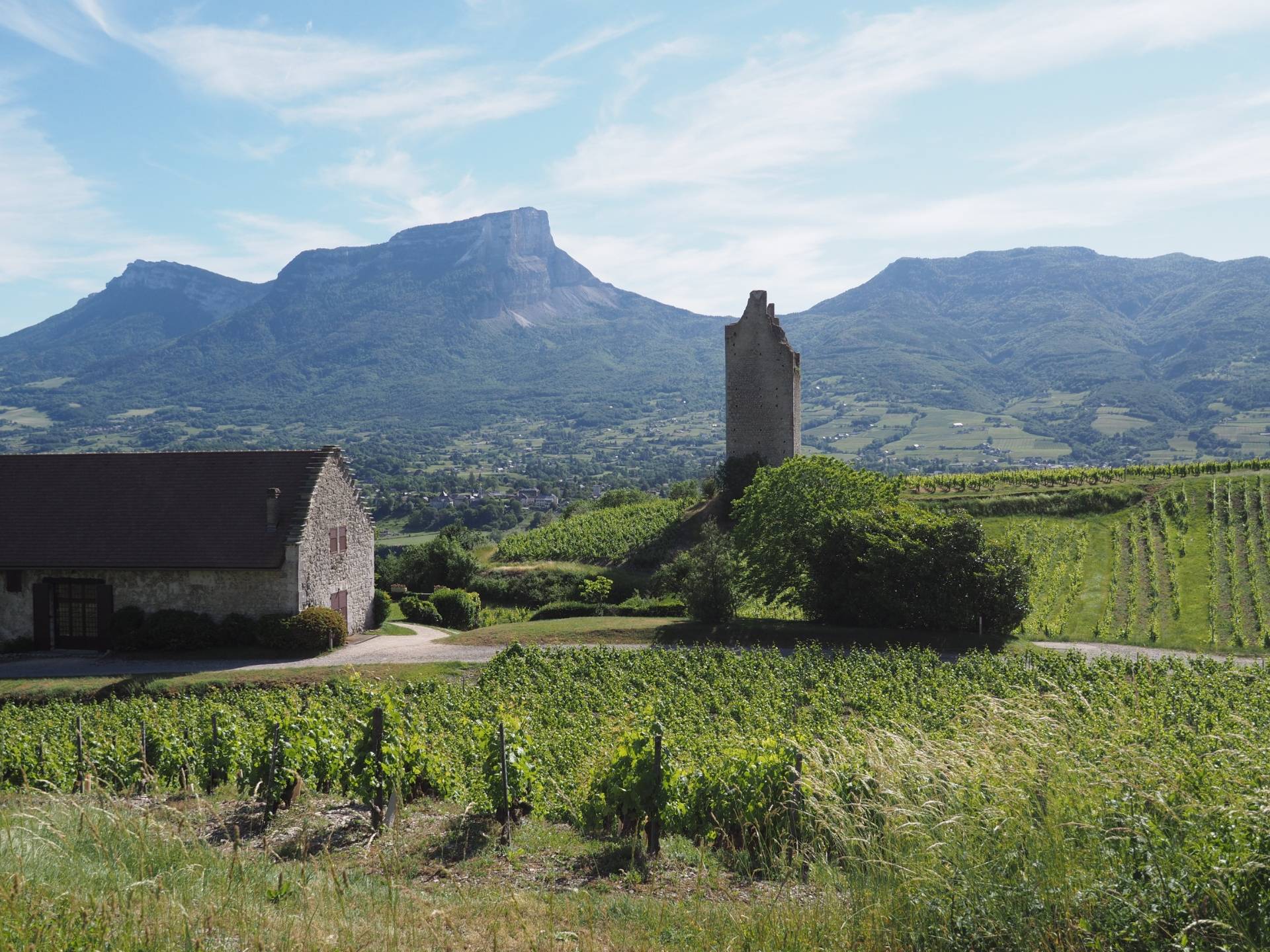 Anne-Sophie et Jean-François Quénard - Winalist