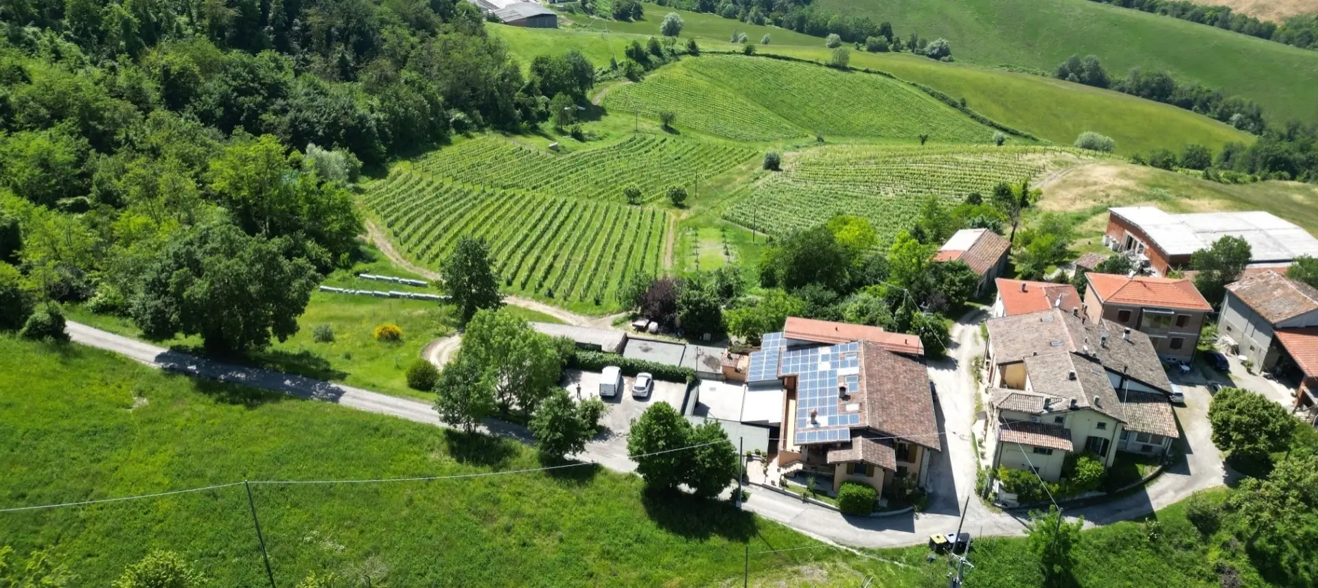 La Bandina Traditional Wines - Winalist